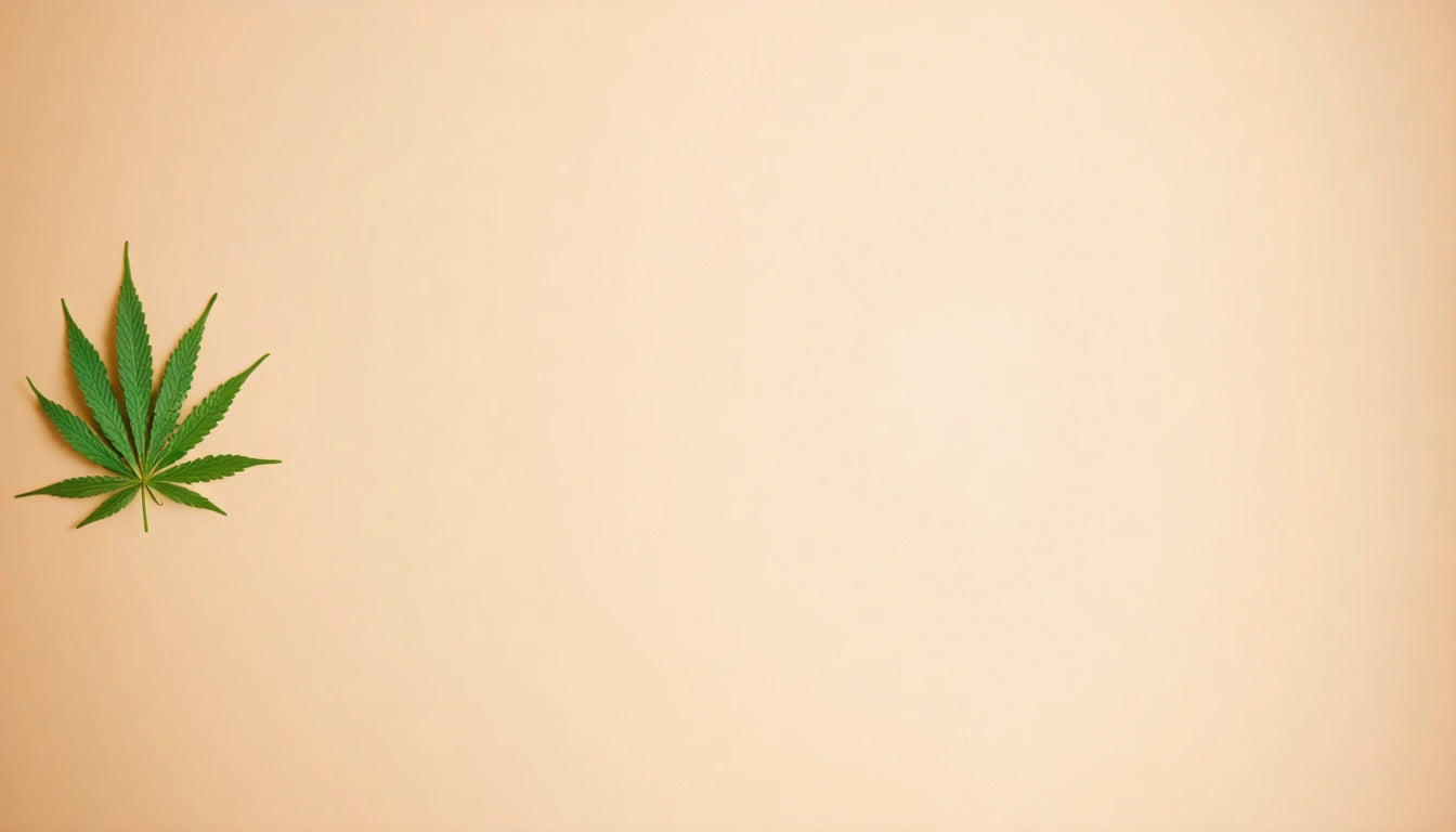 Green leaf with serrated edges on a plain beige background