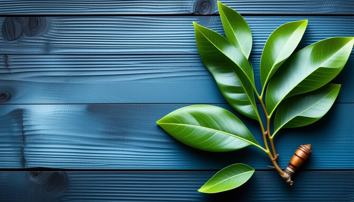 Green leaves on a wooden surface with a blue finish, small brown acorn at the base