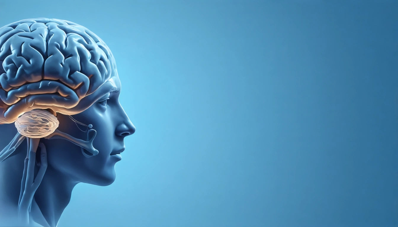 Side profile of a human head with a visible brain illustration, set against a gradient blue background