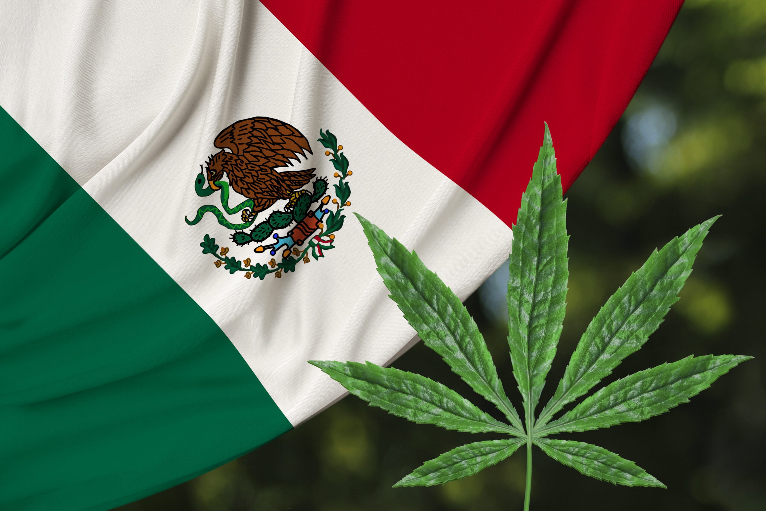 Mexico&#8217;s Supreme Court Federally Decriminalizes Recreational Cannabis Use