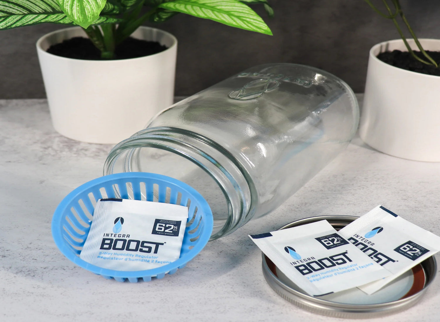 Four transparent bags filled with green plant buds on a wooden surface, against a black background