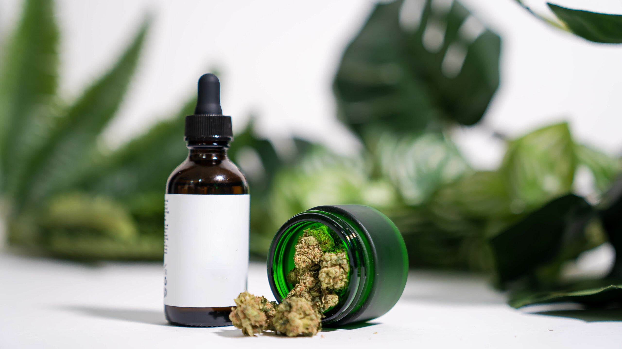 Health Canada Issues Warning To Cannabis Producers To Test &#038; Label Products Accurately