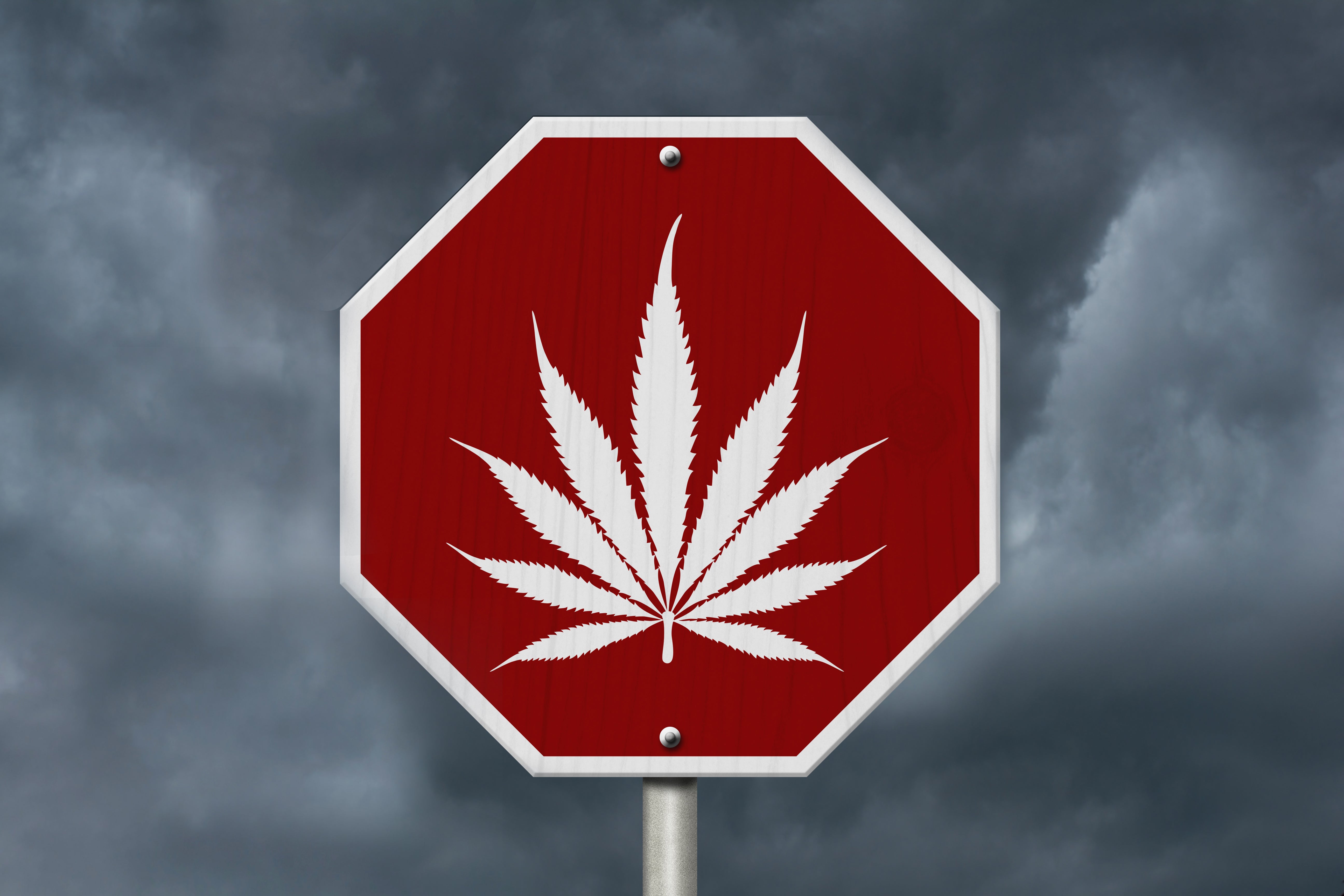 Canadian Study Shows No Increase In Traffic Accidents After Cannabis Legalization