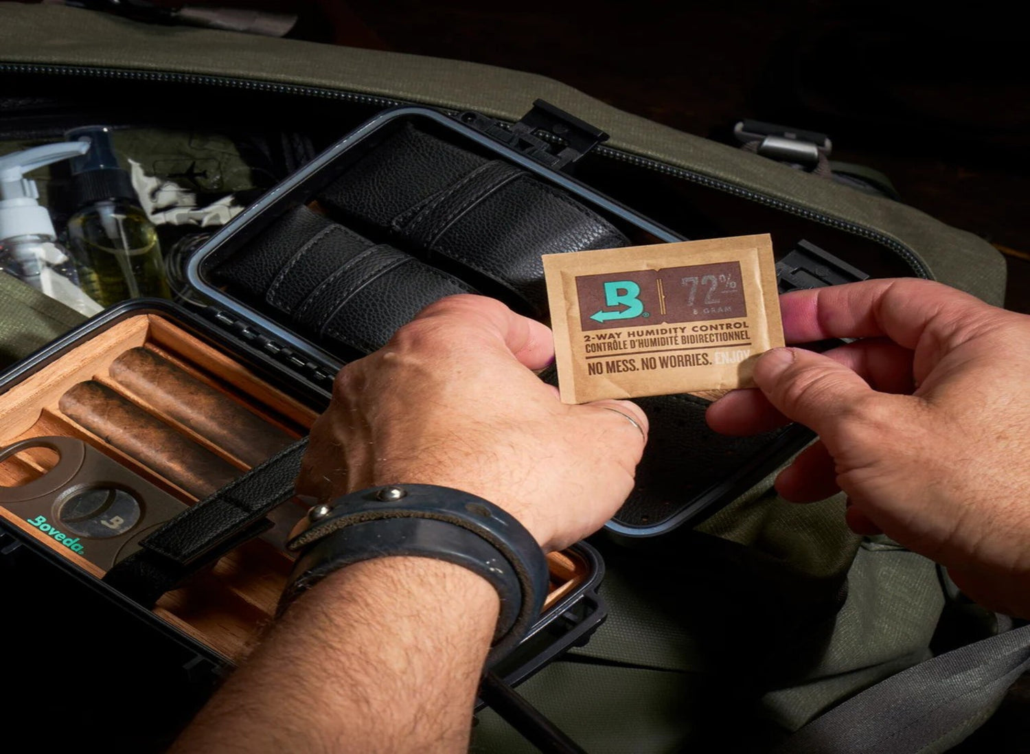 Dense green plant with serrated leaves and clusters of small, pointed buds on a wooden surface, blurred leaves in background