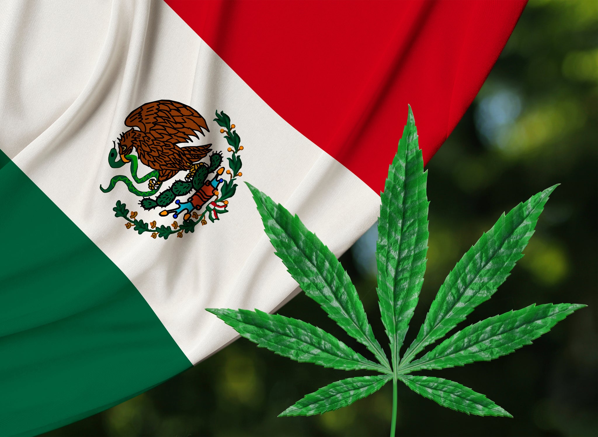 Pipe cannabis -  México