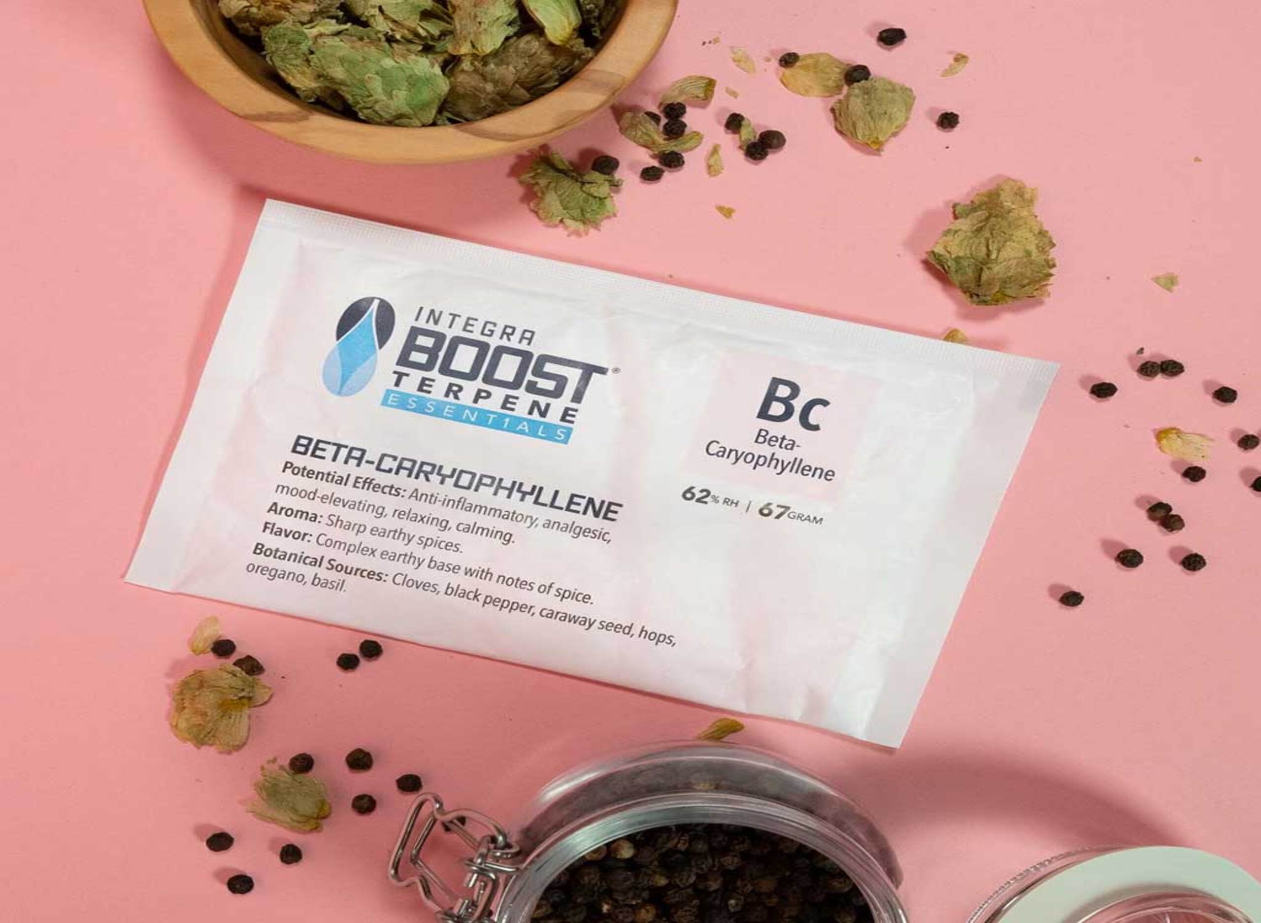 Laptop on wooden table surrounded by potted plants and glass jars, with hanging light bulbs and blurred green background