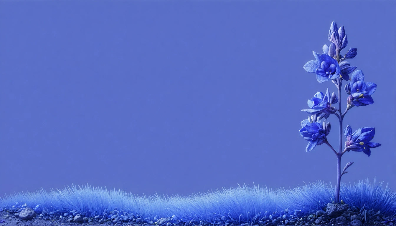 Blue flowers on a tall stem against a solid blue background, with a strip of blue grass and small rocks at the bottom