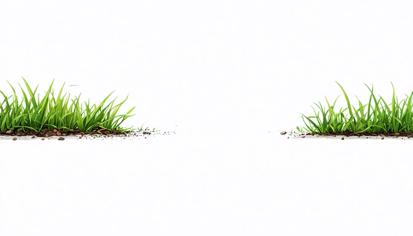 Two patches of green grass with soil, separated by a white space in the middle