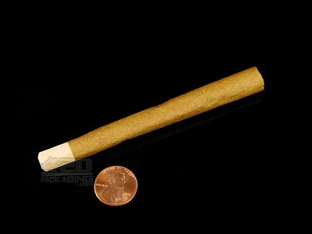 Cyclones Wonderberry Flavored Hemp Cones With Wooden Tips 24/Box - 4