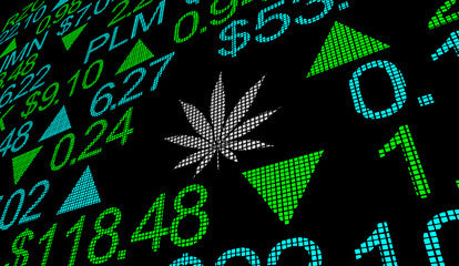 Cannabis Stocks Rise After Amazon Endorses Federal Legalization