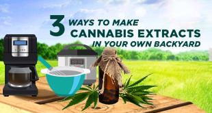 3 Simple Cannabis Extract Methods That Can Be Done from Home