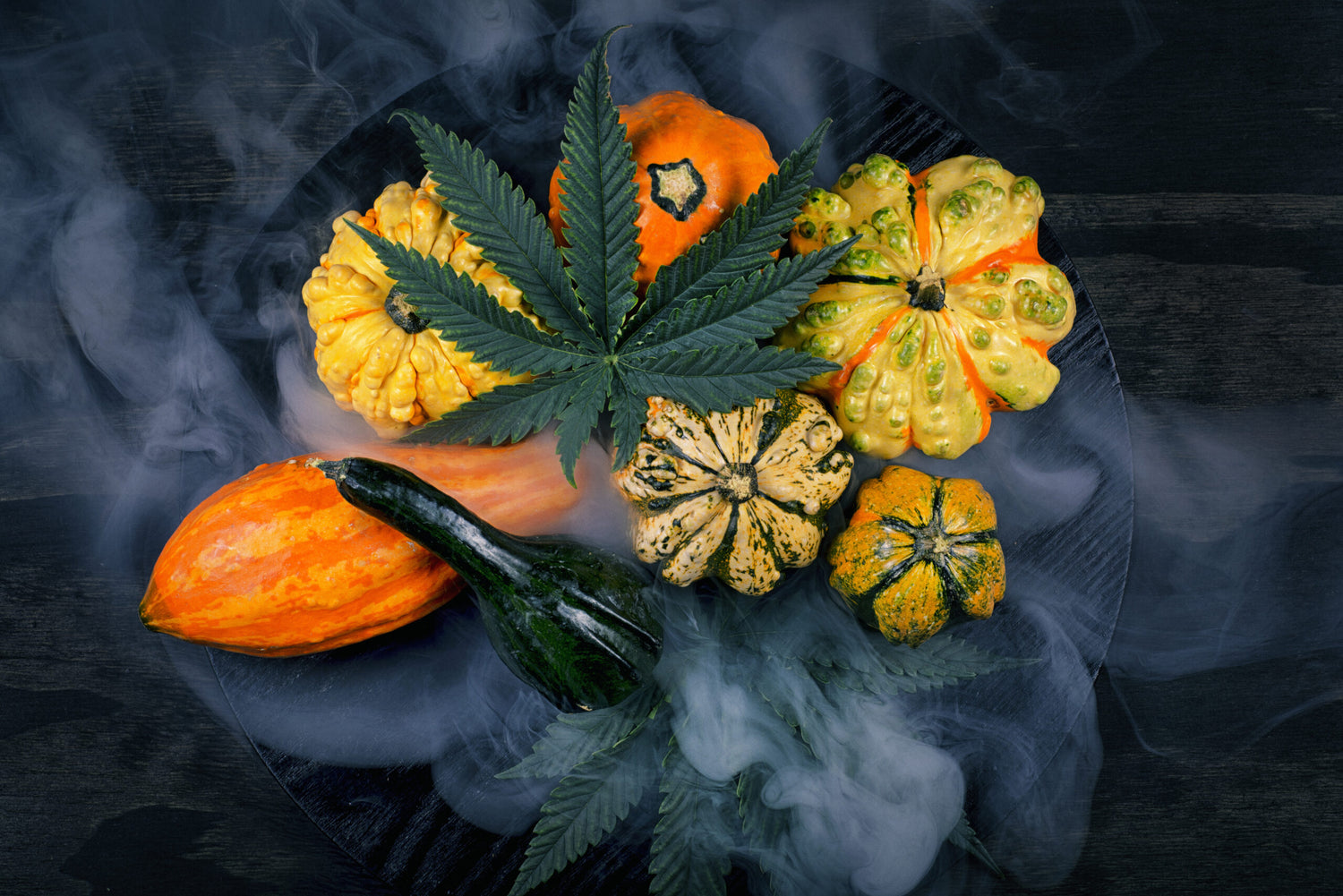 The Guide To A Full Danksgiving Feast