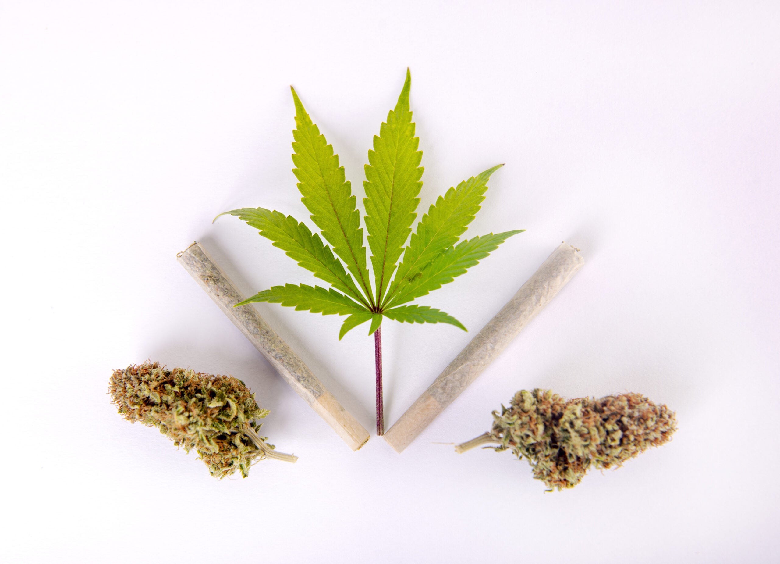 The Best Pre Rolled Cones For Health-Oriented Tokers