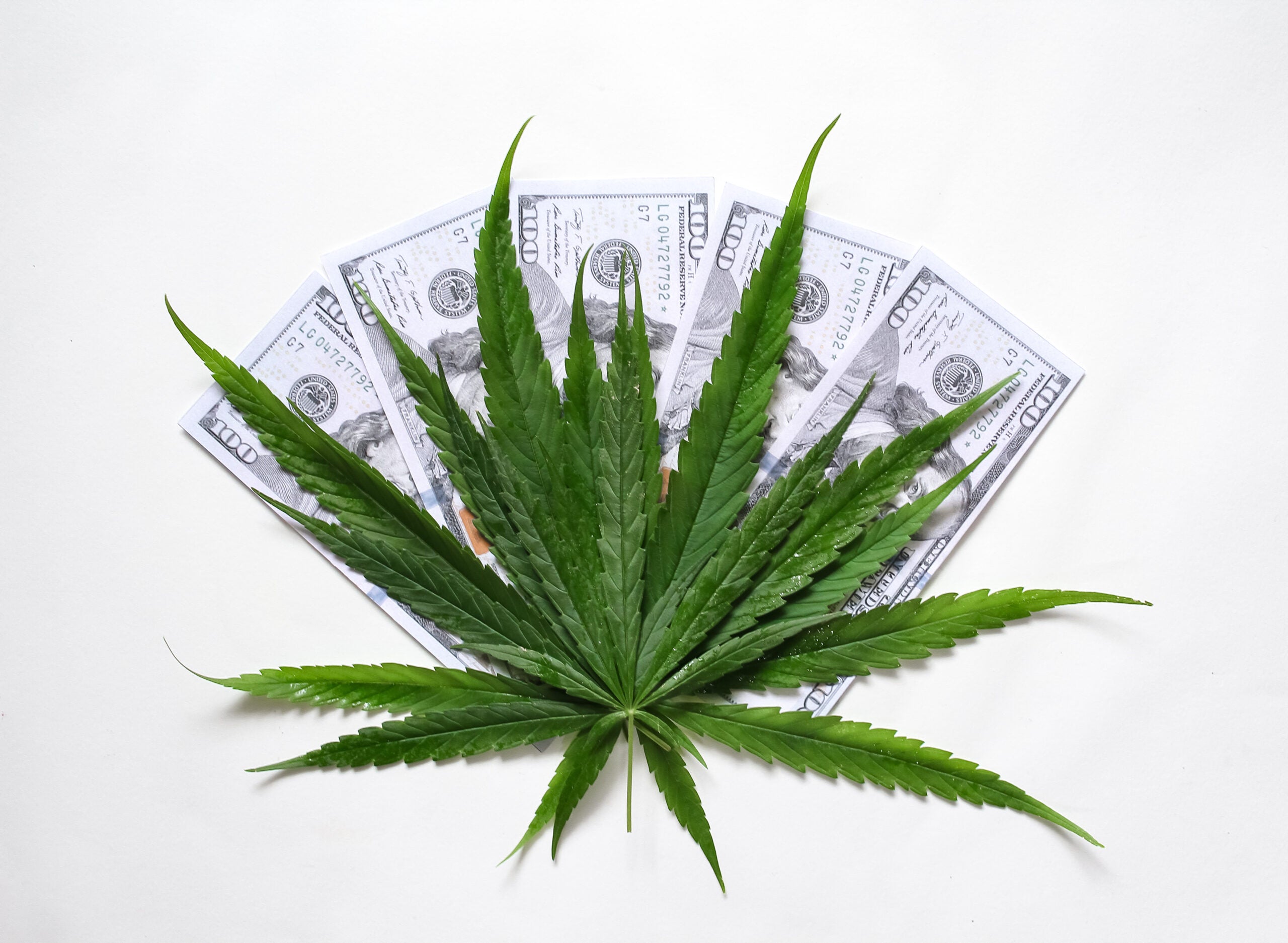 Cannabis Marketing 101: How to Get Off The Ground