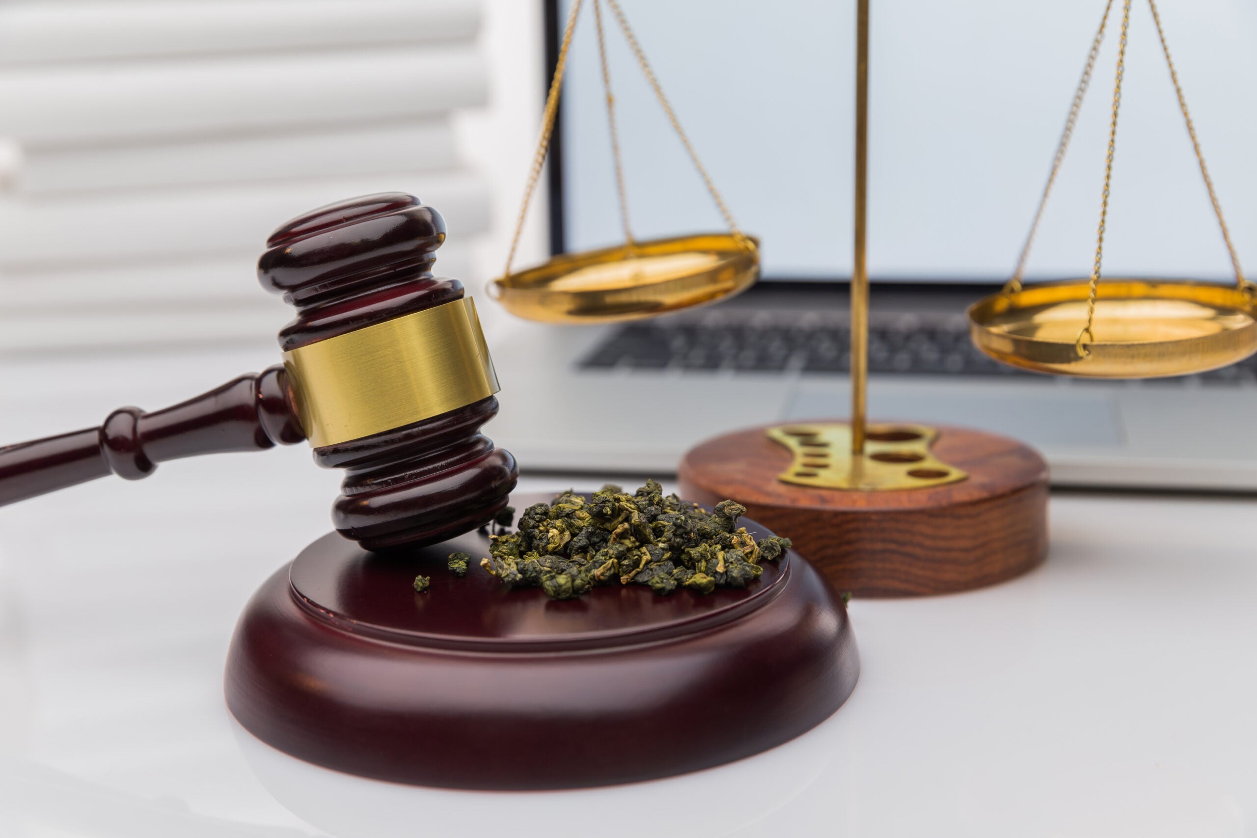 Federal Officials &#038; State Cannabis Regulators Discuss The Future Of Legalization