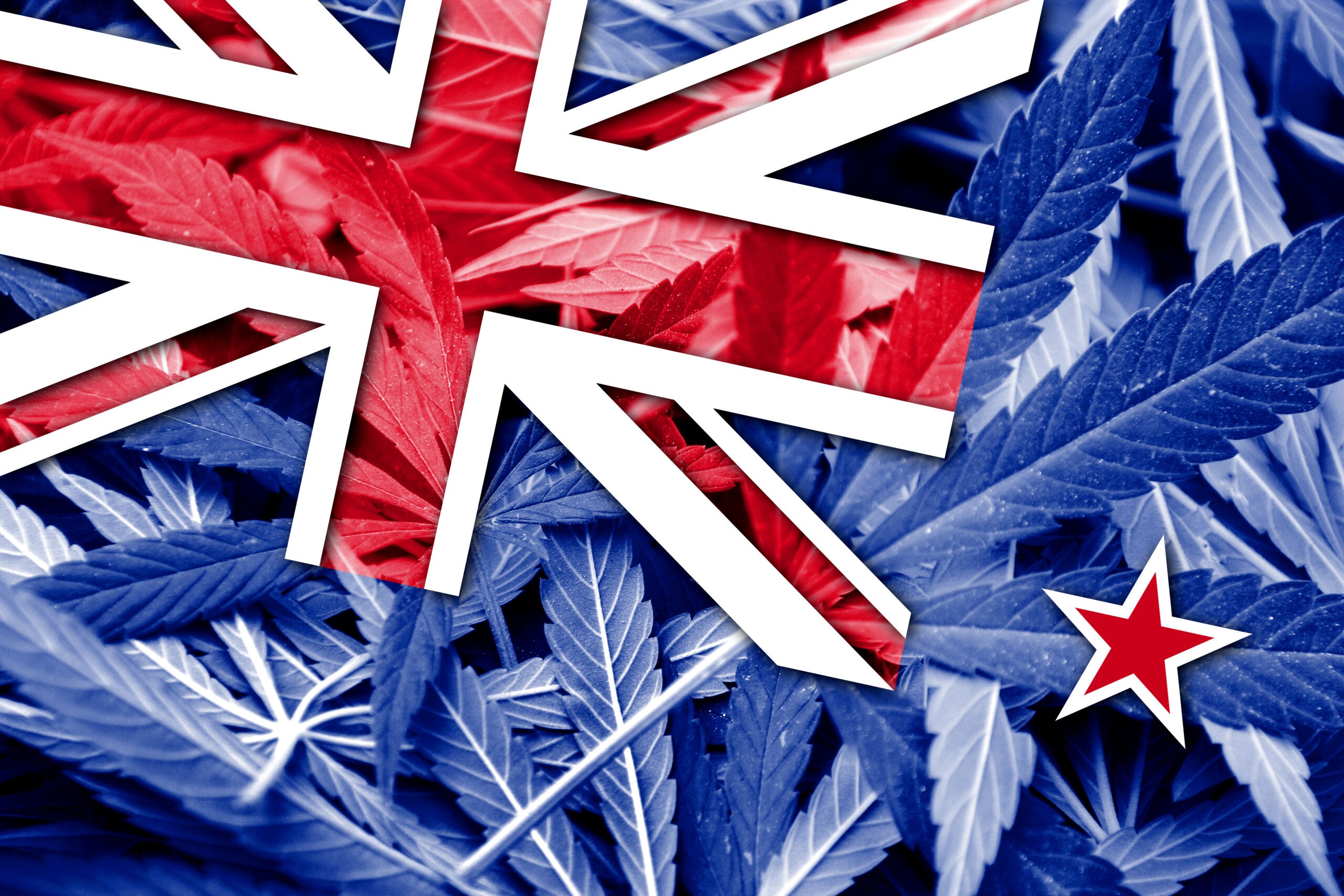 Pending Research Might Produce Seminal Results For New Zealand&#8217;s Cannabis Industry