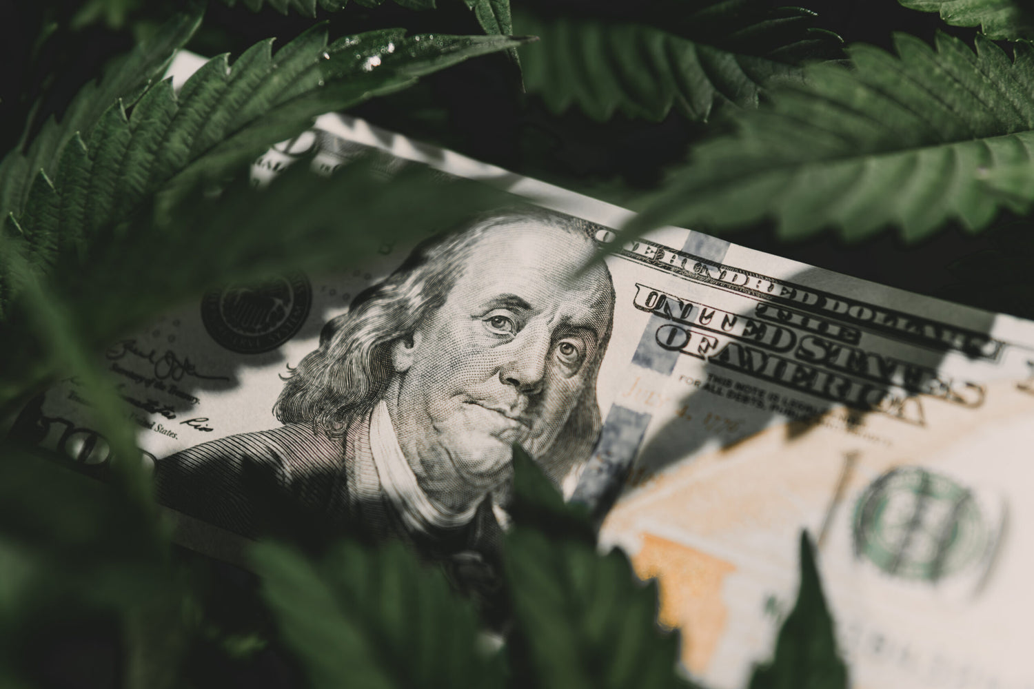 Arizona Reaps The Tax Rewards Of Legal Cannabis - Marijuana Packaging