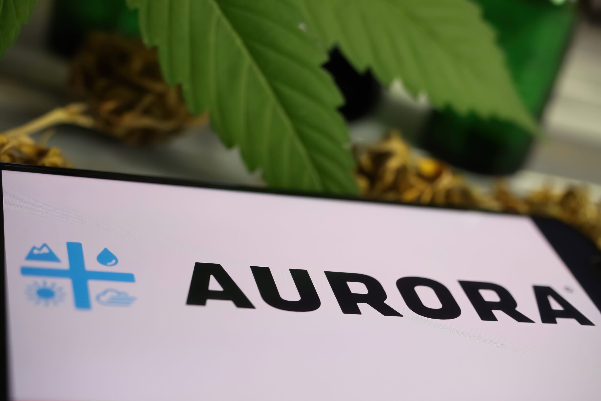 Aurora Sends Its Largest-Ever Shipment of Medical Marijuana Worth 10 Million Canadian Dollars To Israel