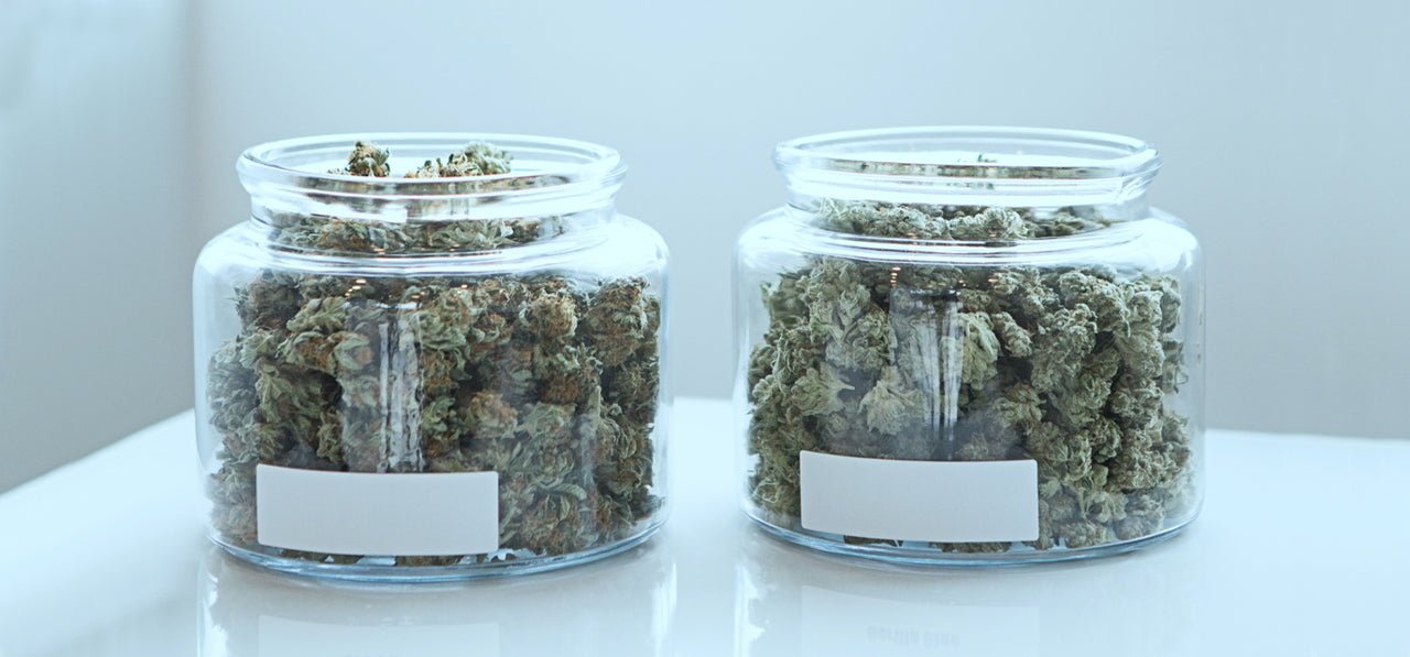 What is the Best Humidity for Cannabis Storage? - 420 Packaging