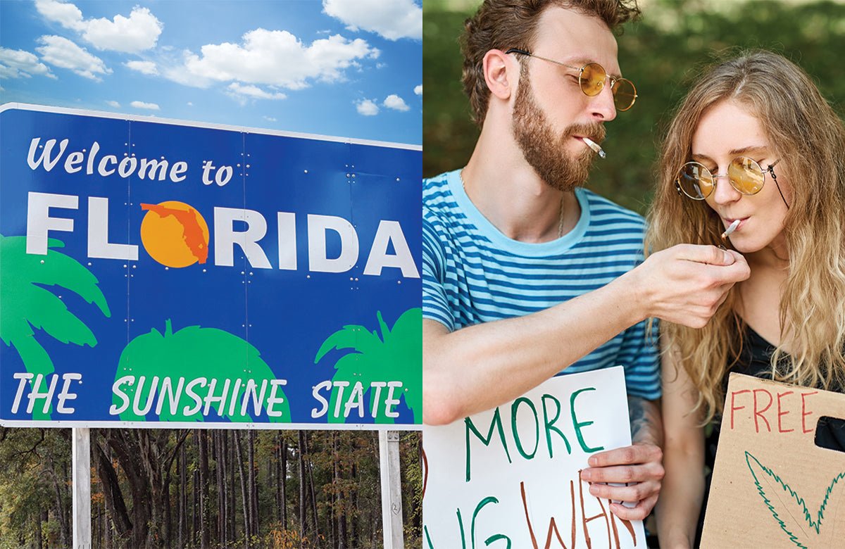 Activist Group Fights To Get Legalization On 2022 Florida Ballot - Marijuana Packaging