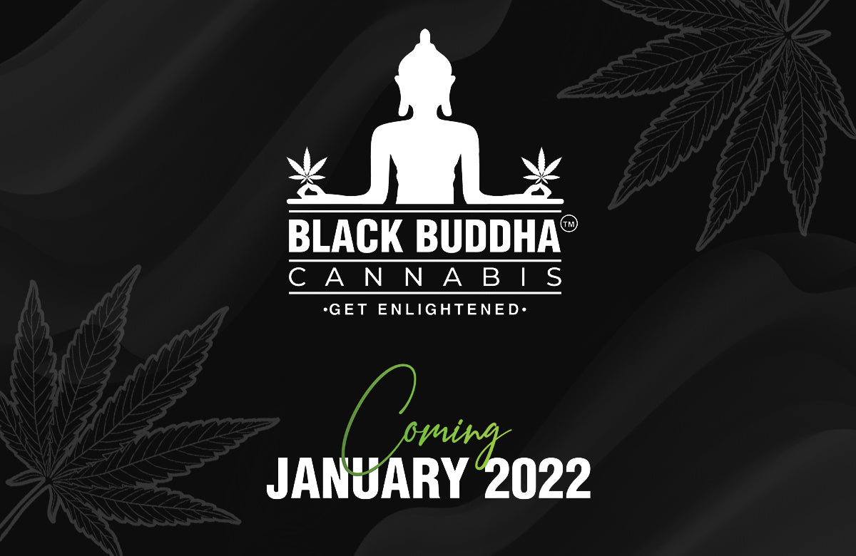 Socially-Equity-Driven Black Buddha Cannabis Given Warm Reception at MJBizCON