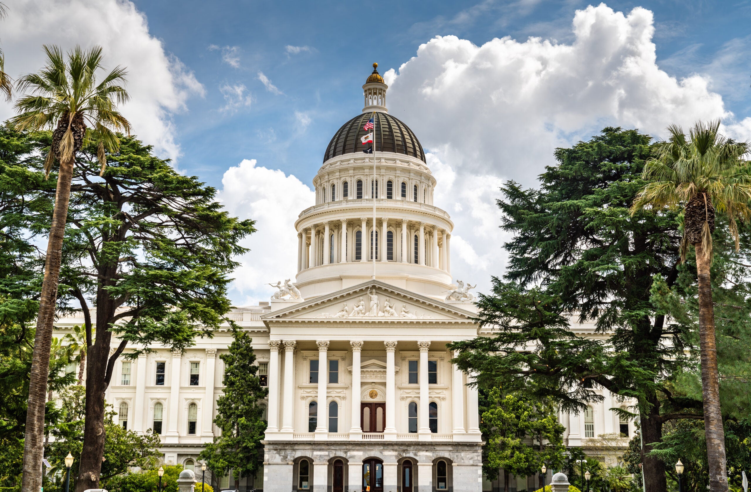 California Lawmakers Approve Divisive Marijuana Bill - Marijuana Packaging