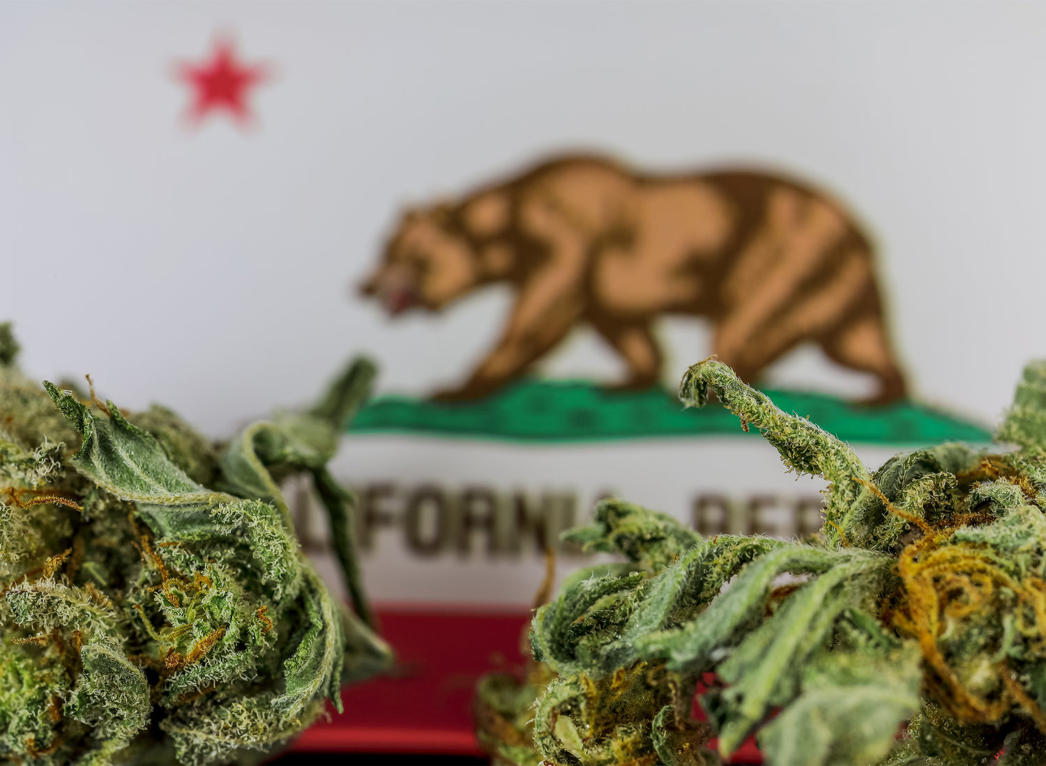 New Ballot Measures Could Expand California&#8217;s Recreational Marijuana Market - Marijuana Packaging