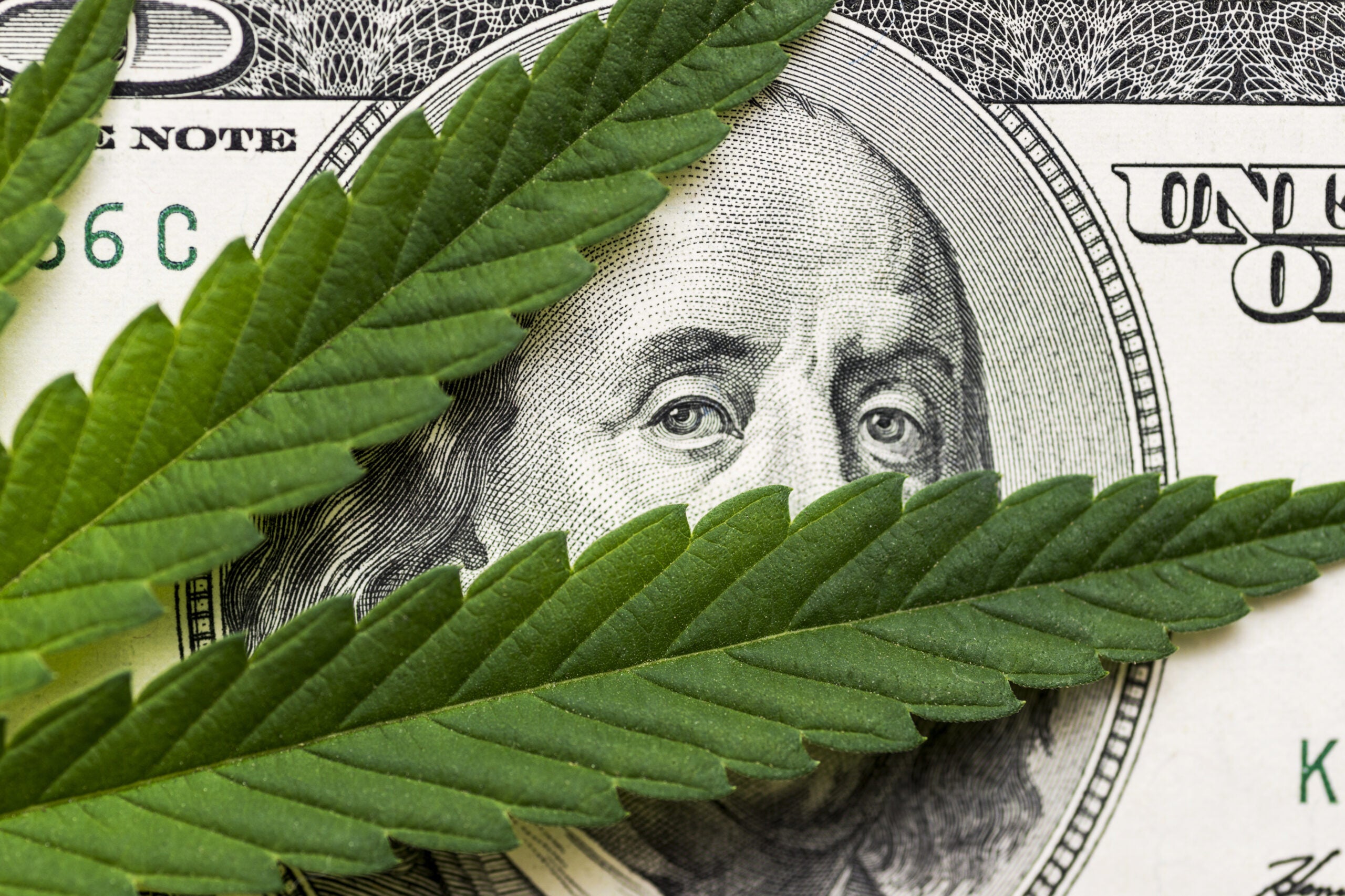 Cannabis Tax Revenues Have Brought In $8B Since The Beginning Of Legalization