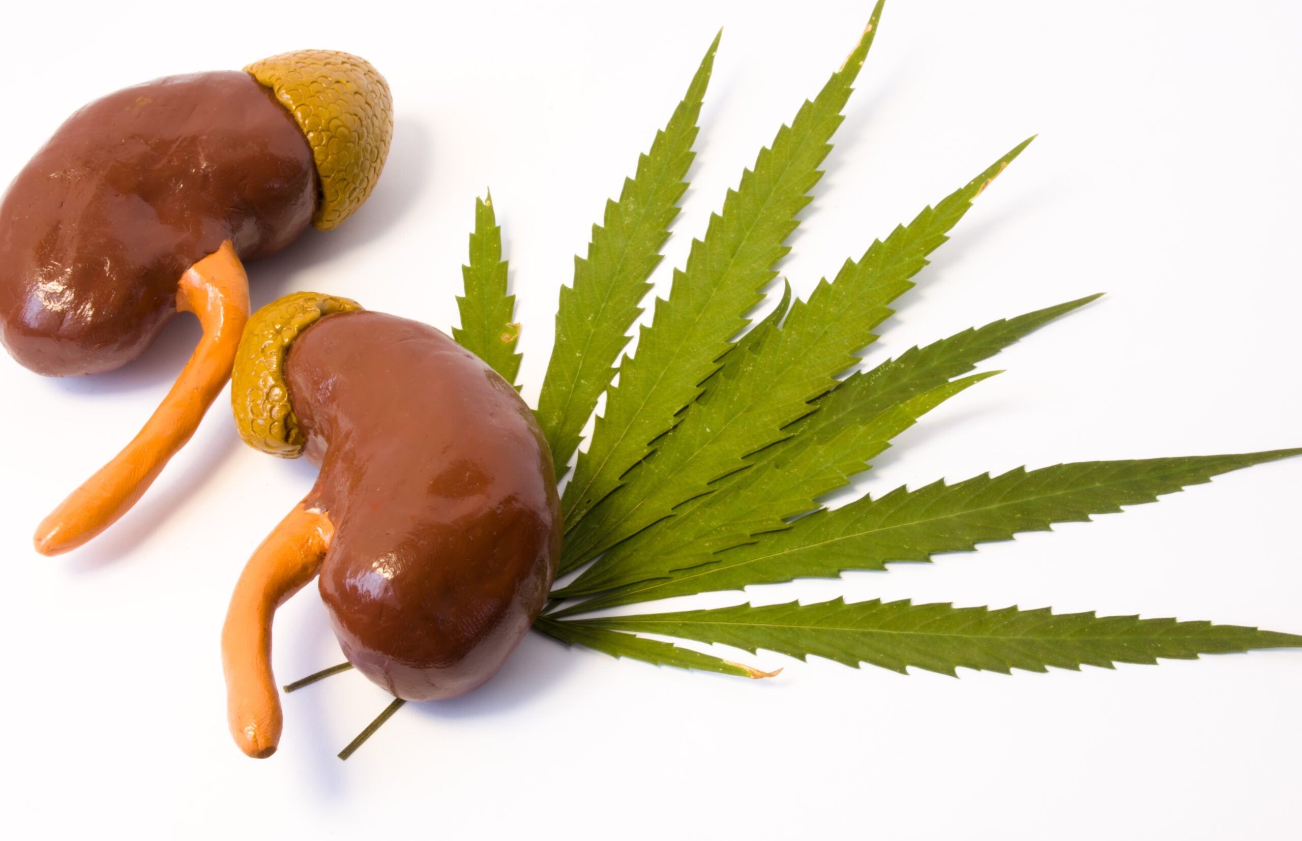 Cannabis Shows Potential For Treating Chronic Kidney Disease Symptoms - Marijuana Packaging