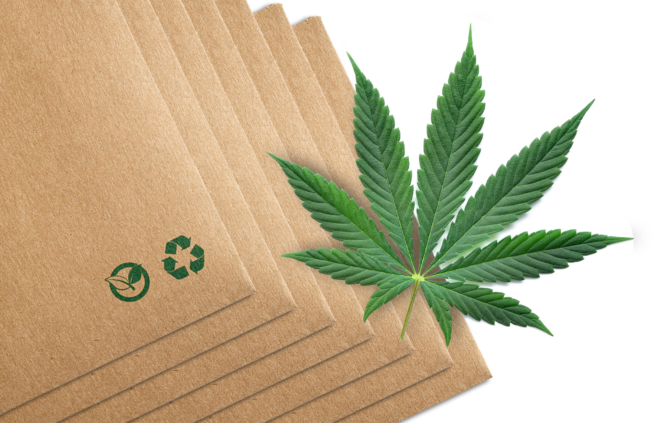 The Rise of Sustainable Packaging in the Cannabis Industry