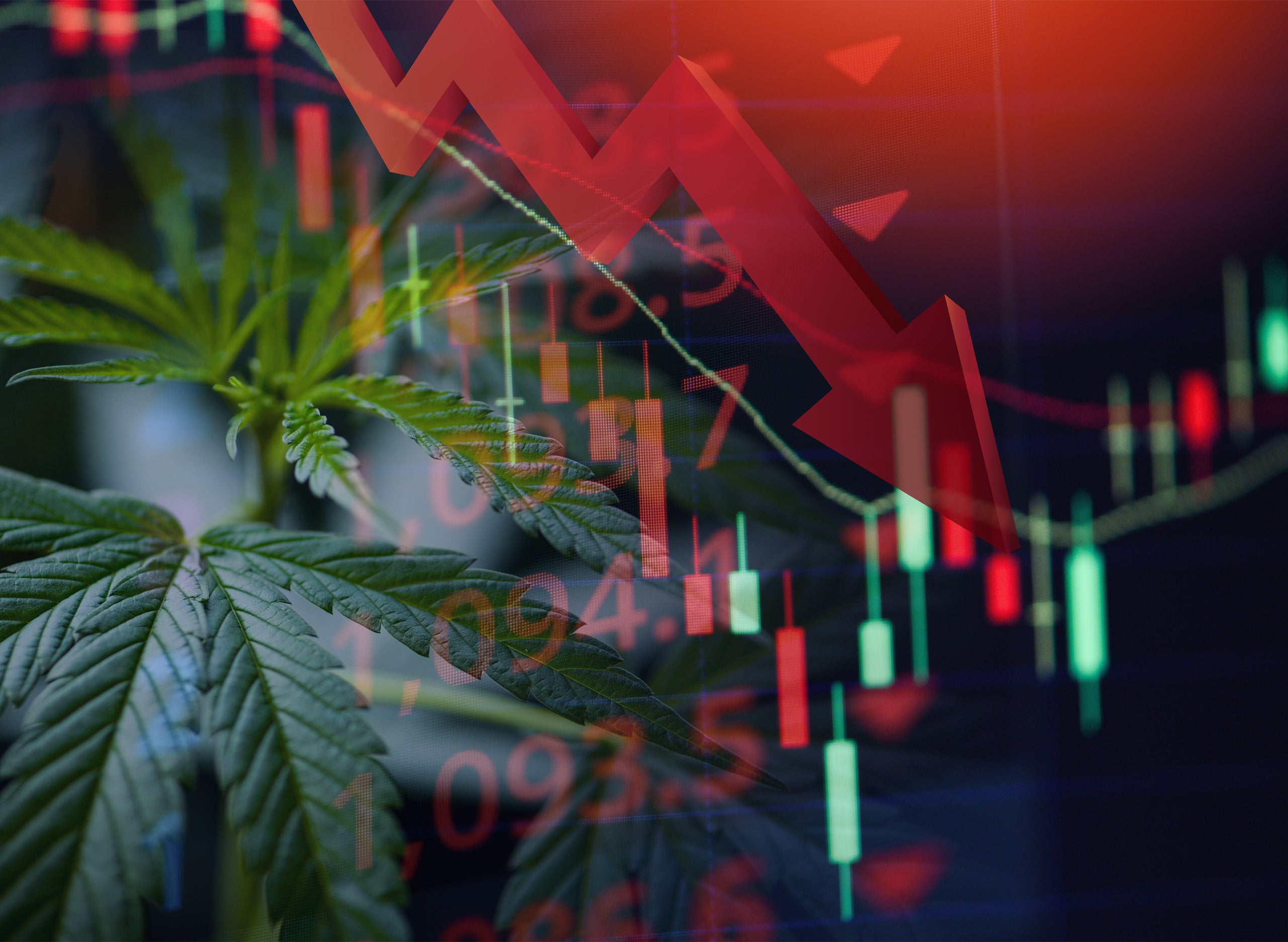 Financial Restatements By Cannabis Firms Indicate The Market Is Still Maturing According To Industry Experts