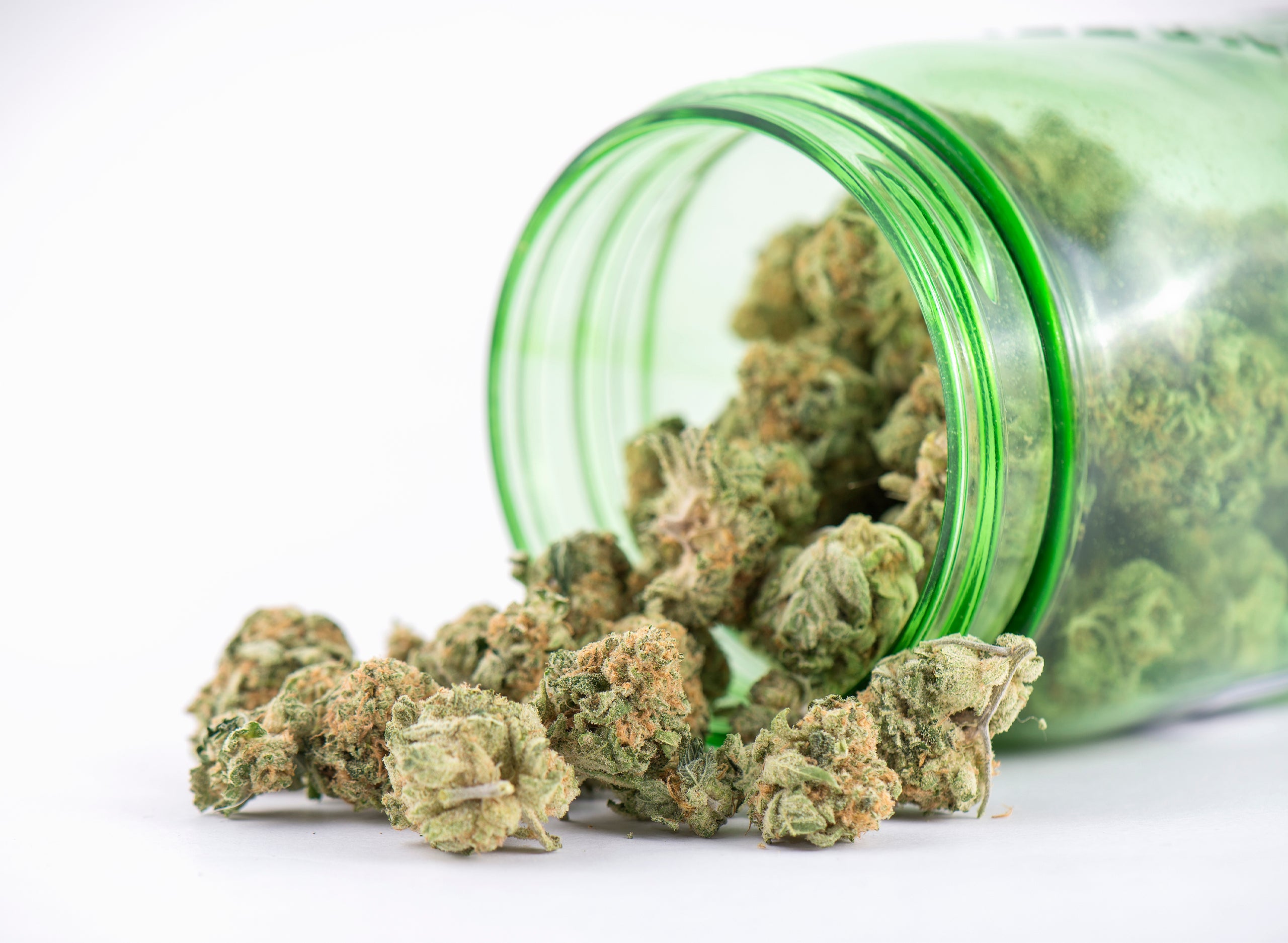All Types of Cannabis Products: The Many Forms of Marijuana