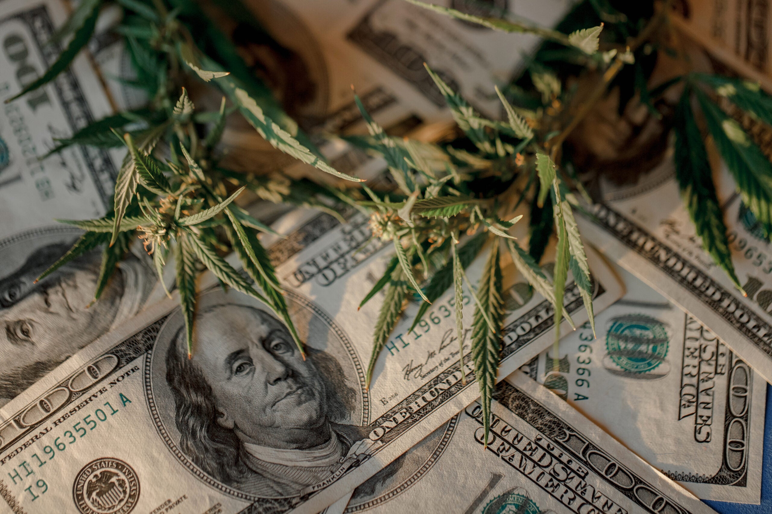 Multiple Cannabis Companies On The Hunt To Purchase U.S. Cannabis Operators