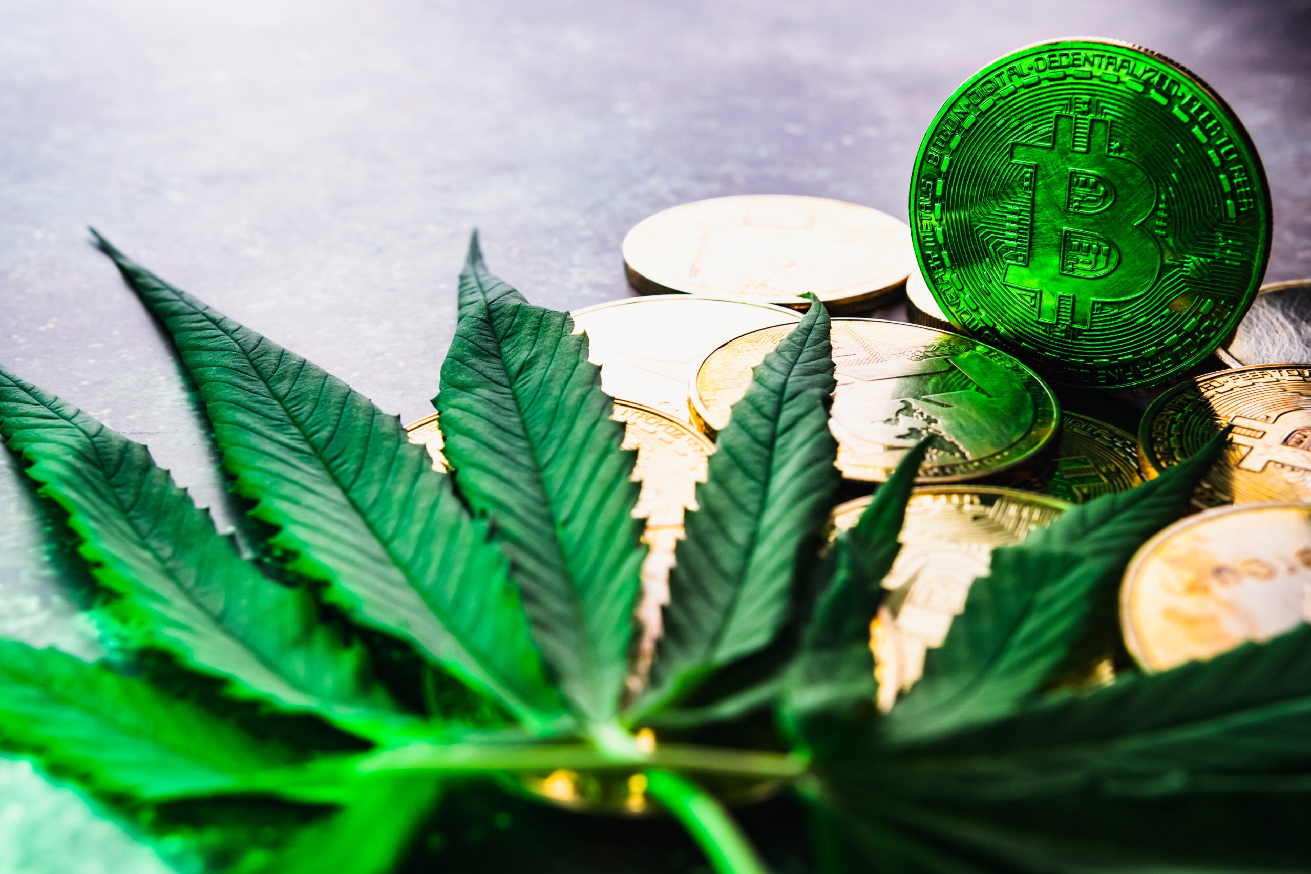Crypto And Cannabis: A Match Made In Heaven?