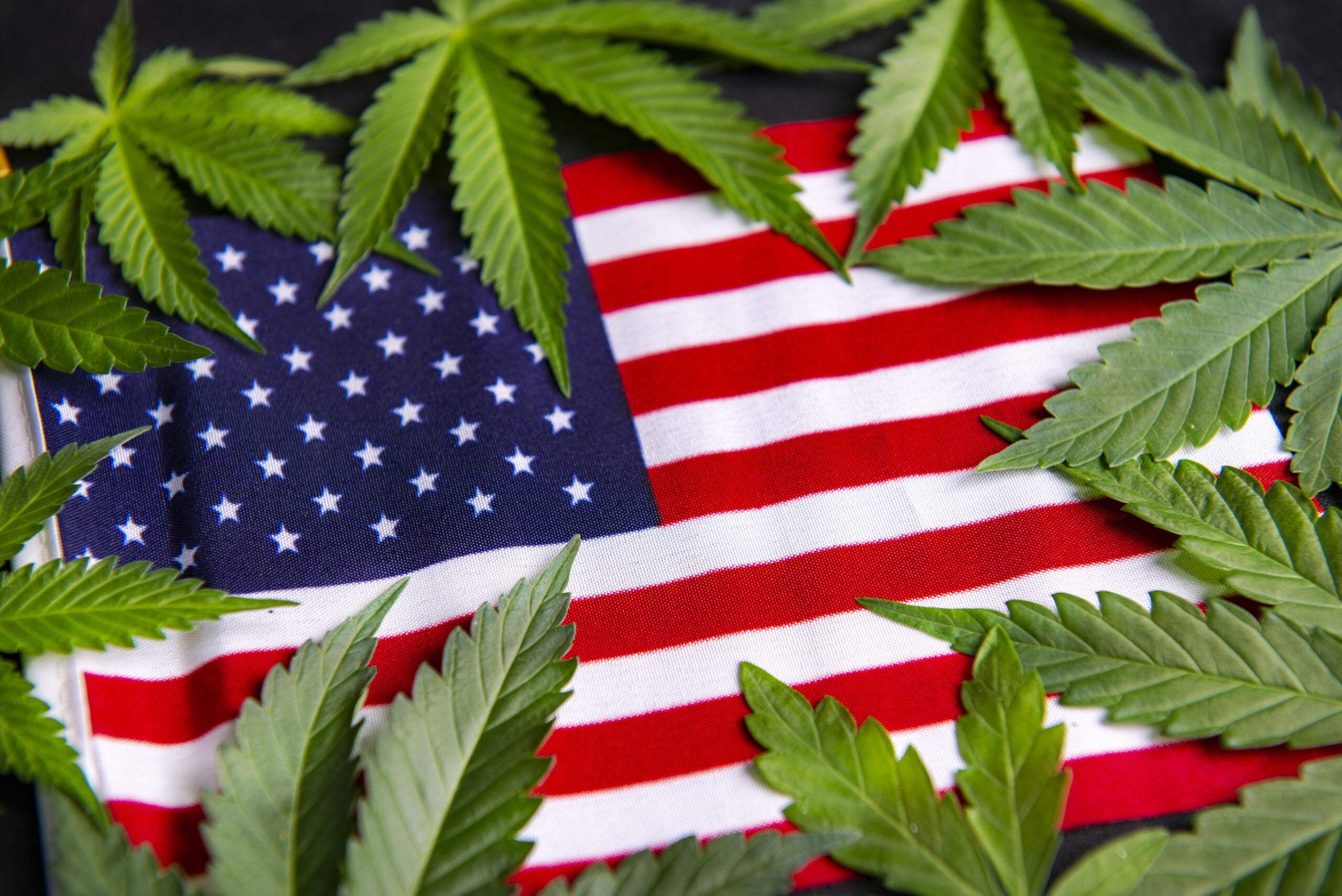 Two Former Congress Members Join National Cannabis Reform Group CPEAR