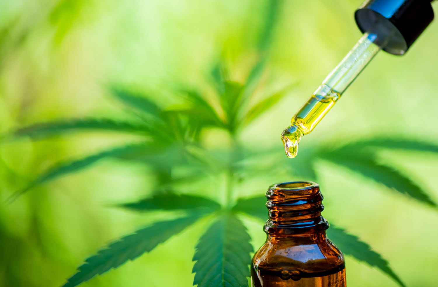 Georgians Finally Able To Purchase Medical-Use Low-THC Oil - Marijuana Packaging