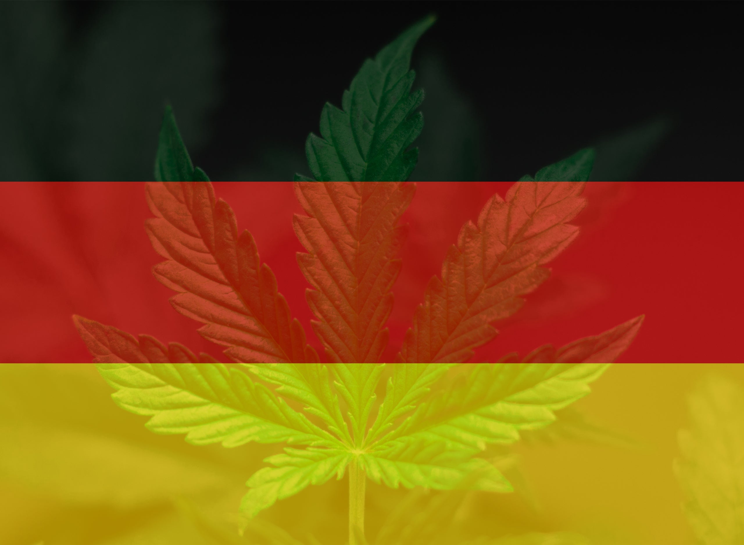Marijuana Could Be Legal In Germany Soon