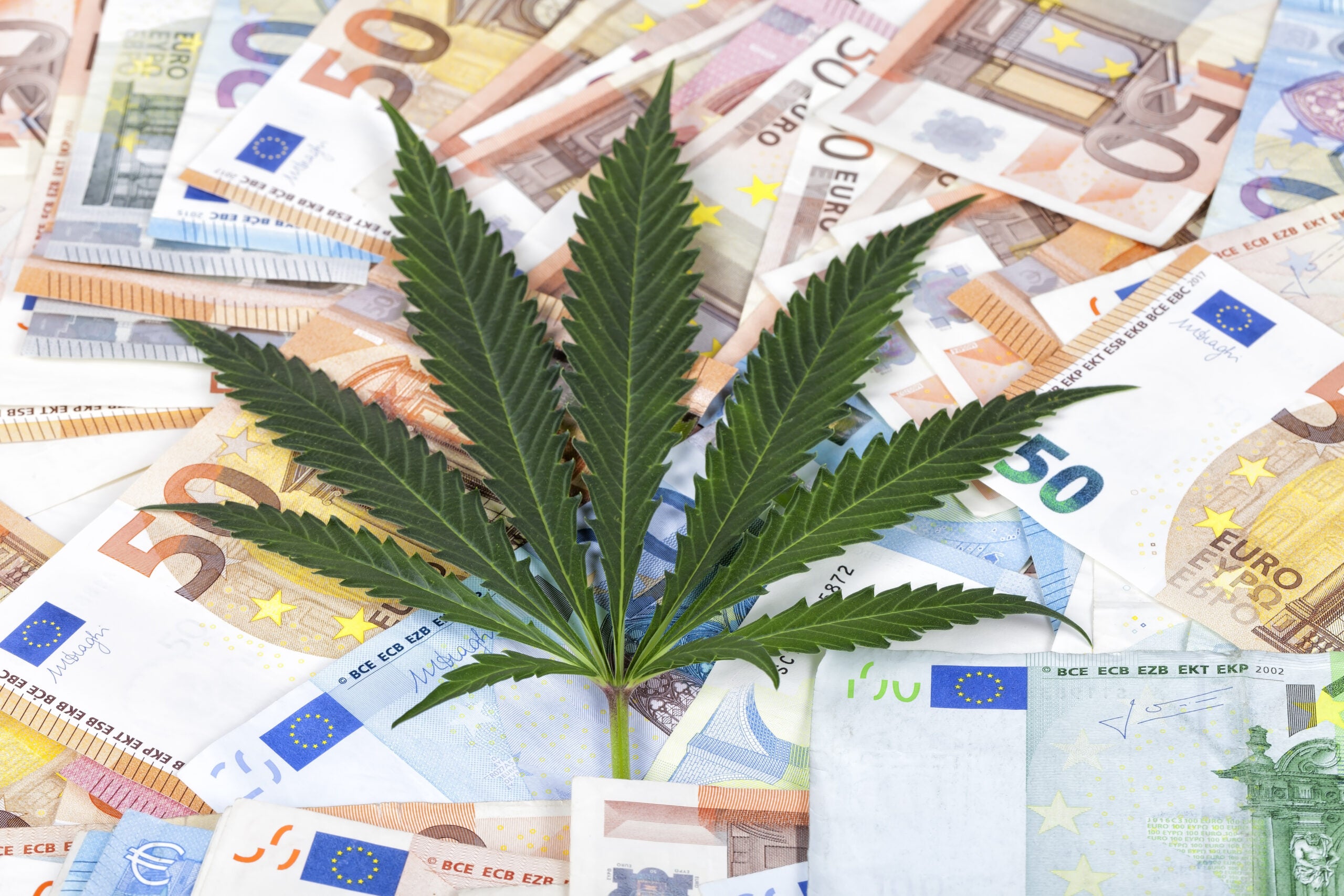Global Cannabis Sales Projected To Double By 2025