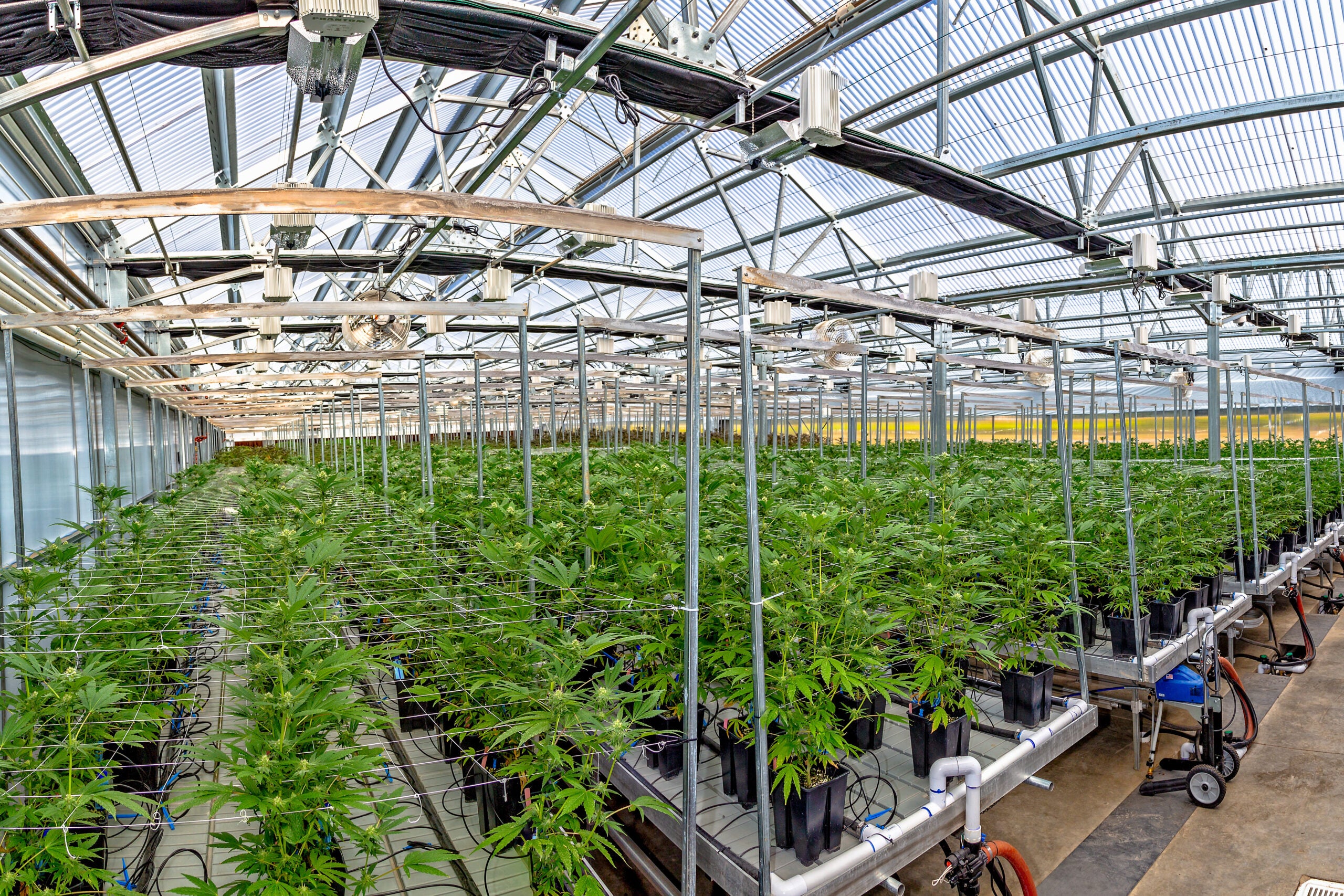 GrowGen Corp. Obtains Nation&#8217;s Third-Largest Hydroponics Chain HGS Hydro