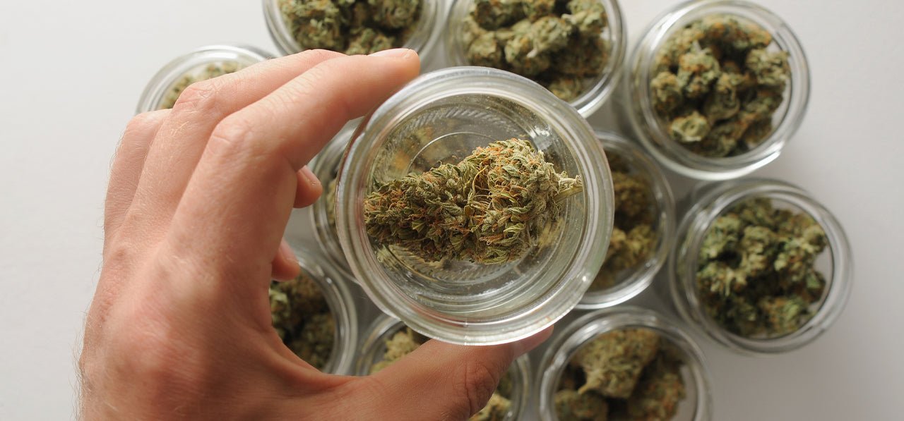 How to Keep Your Weed Fresh - 420 Packaging