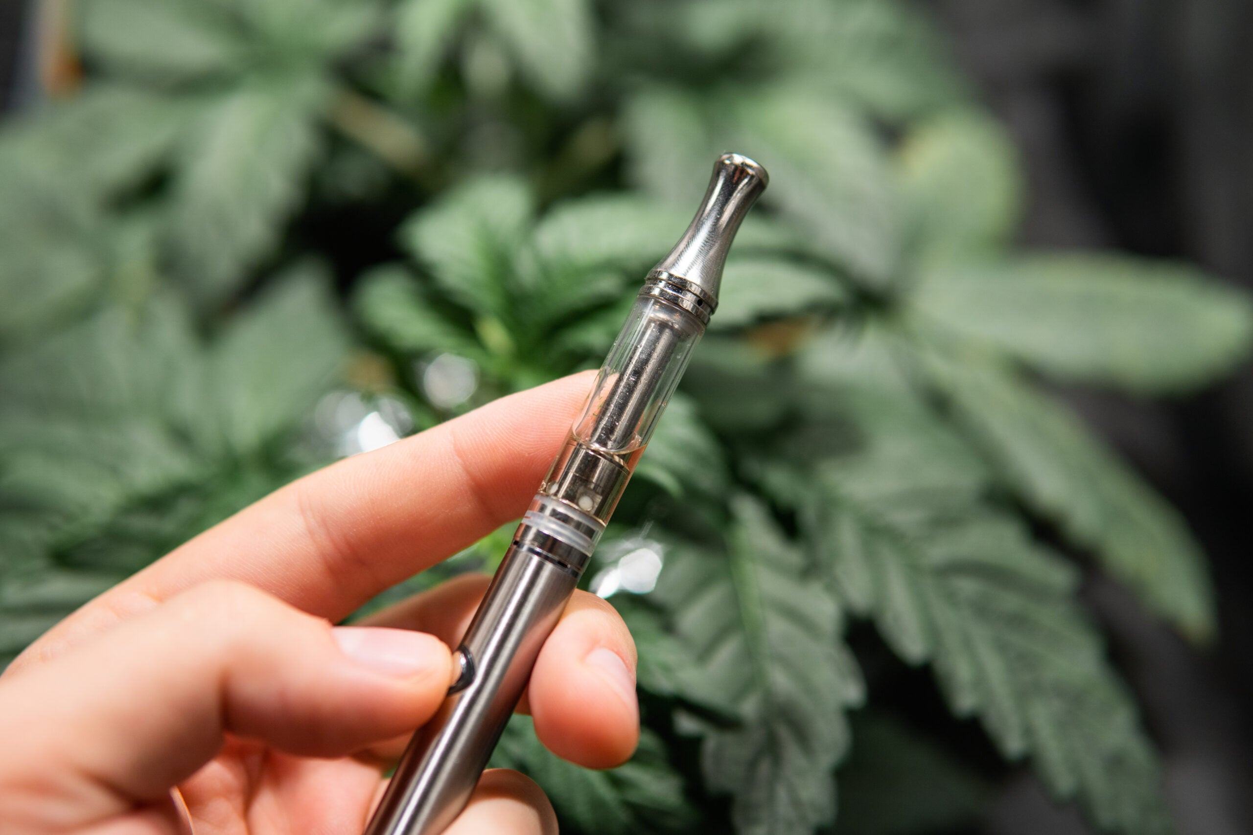 Study Shows EVALI Linked To Unregulated, Contaminated  Vaping Products - Marijuana Packaging