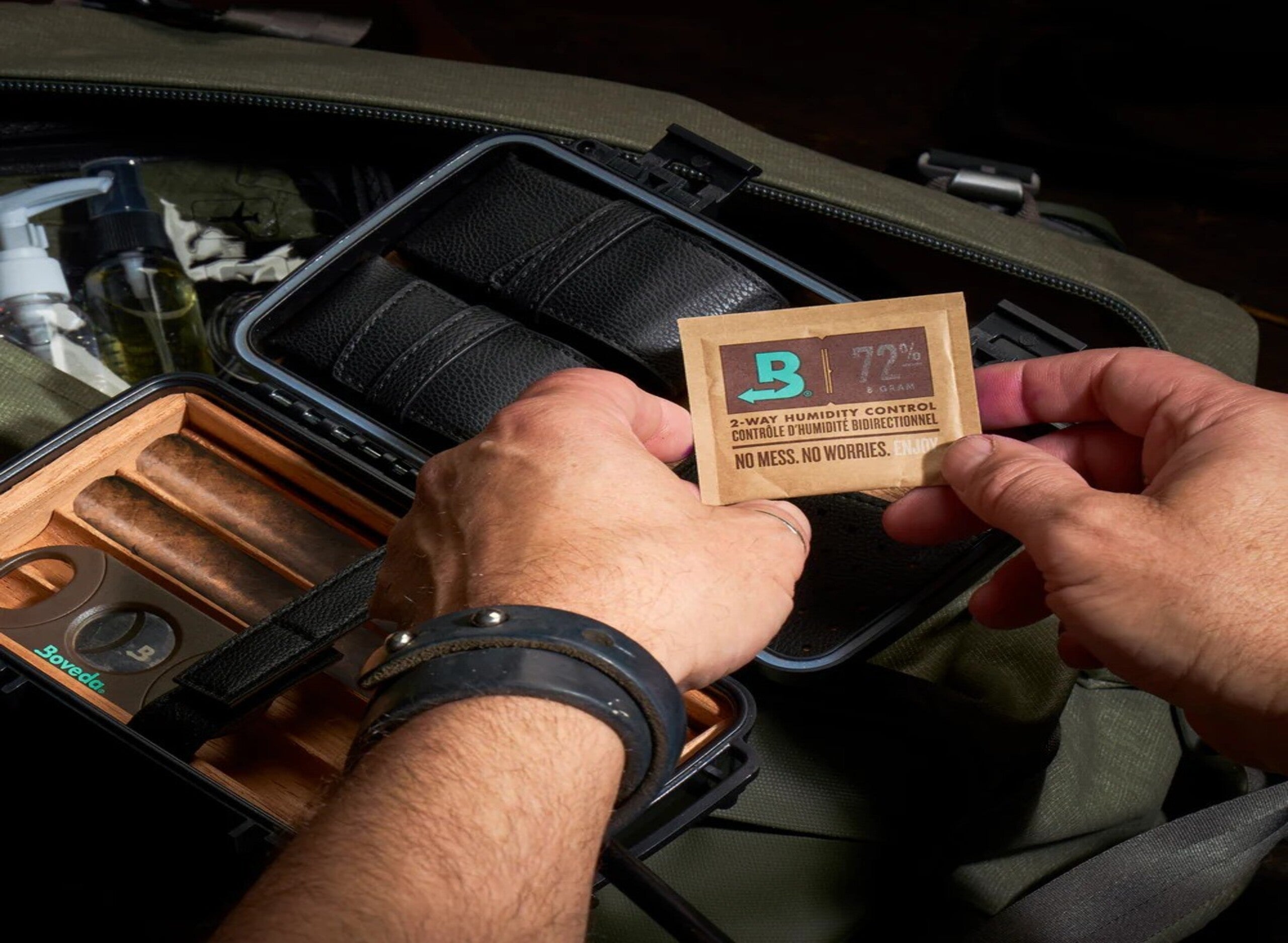 Dense green plant with serrated leaves and clusters of small, pointed buds on a wooden surface, blurred leaves in background