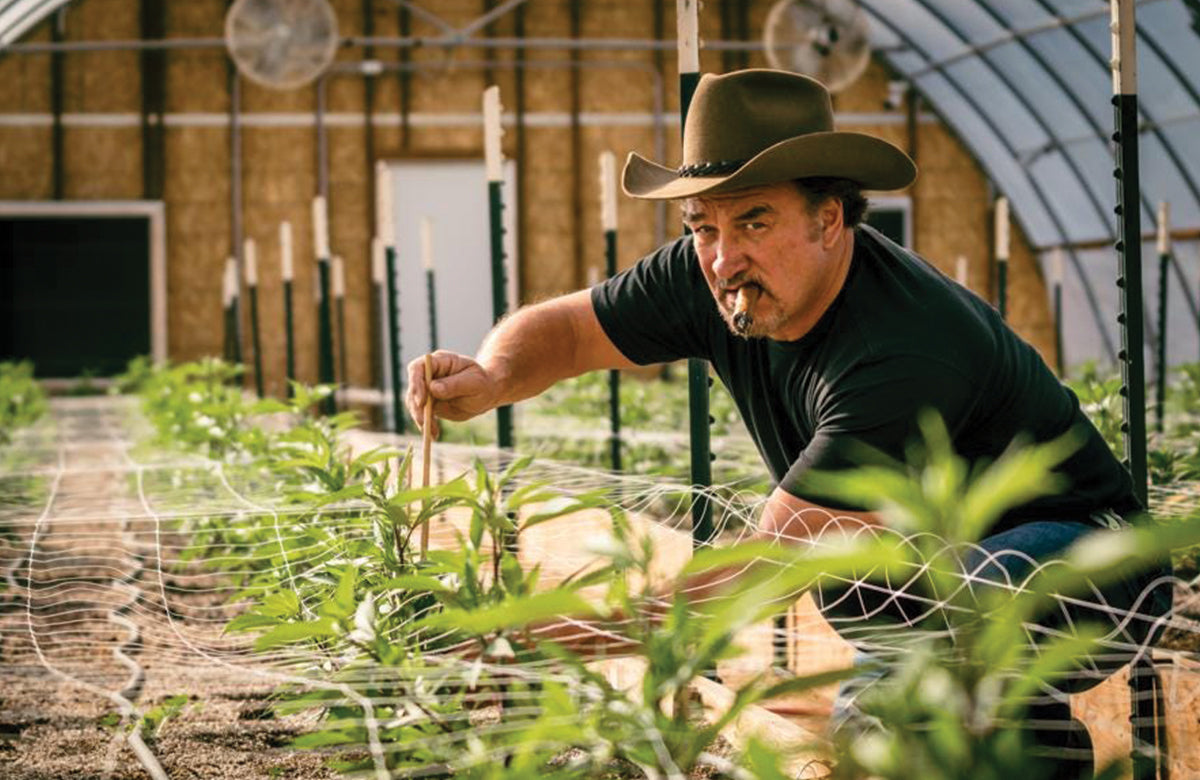 A Spotlight on Jim Belushi’s Cannabis Farming and Activism