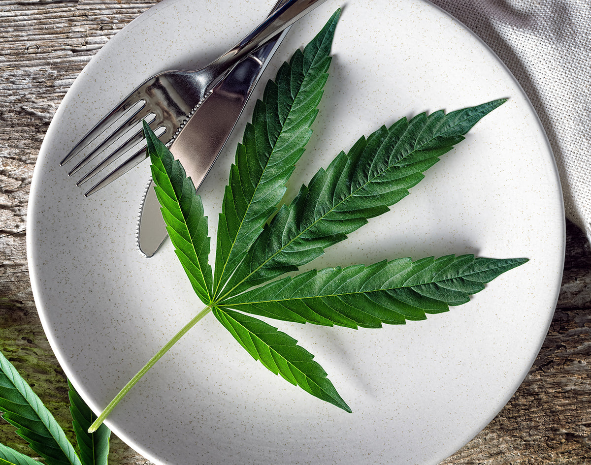 Marijuana High Increased with These 6 Foods | Marijuana Packaging