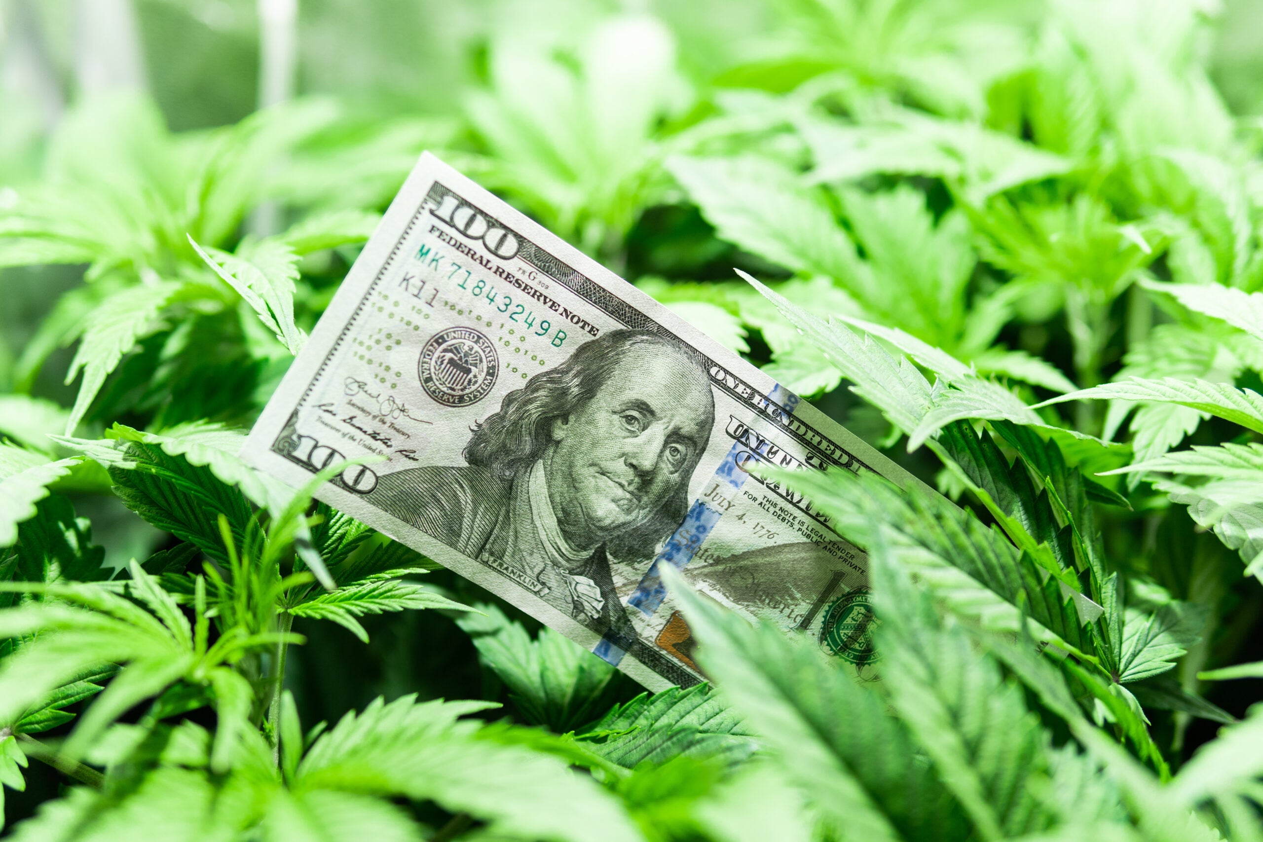 State Coffers Reap The Benefits Of Legalizing Cannabis