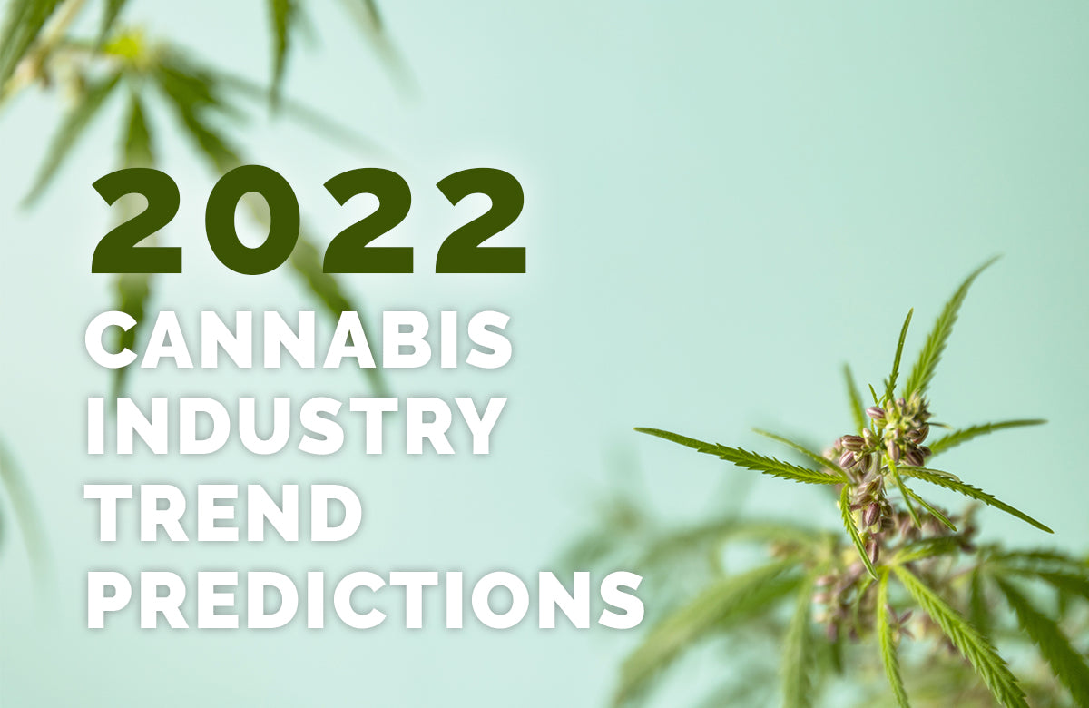 Top Cannabis Consultant Liz Rogan Provides Insight Into Next Year&#8217;s Cannabis Trends