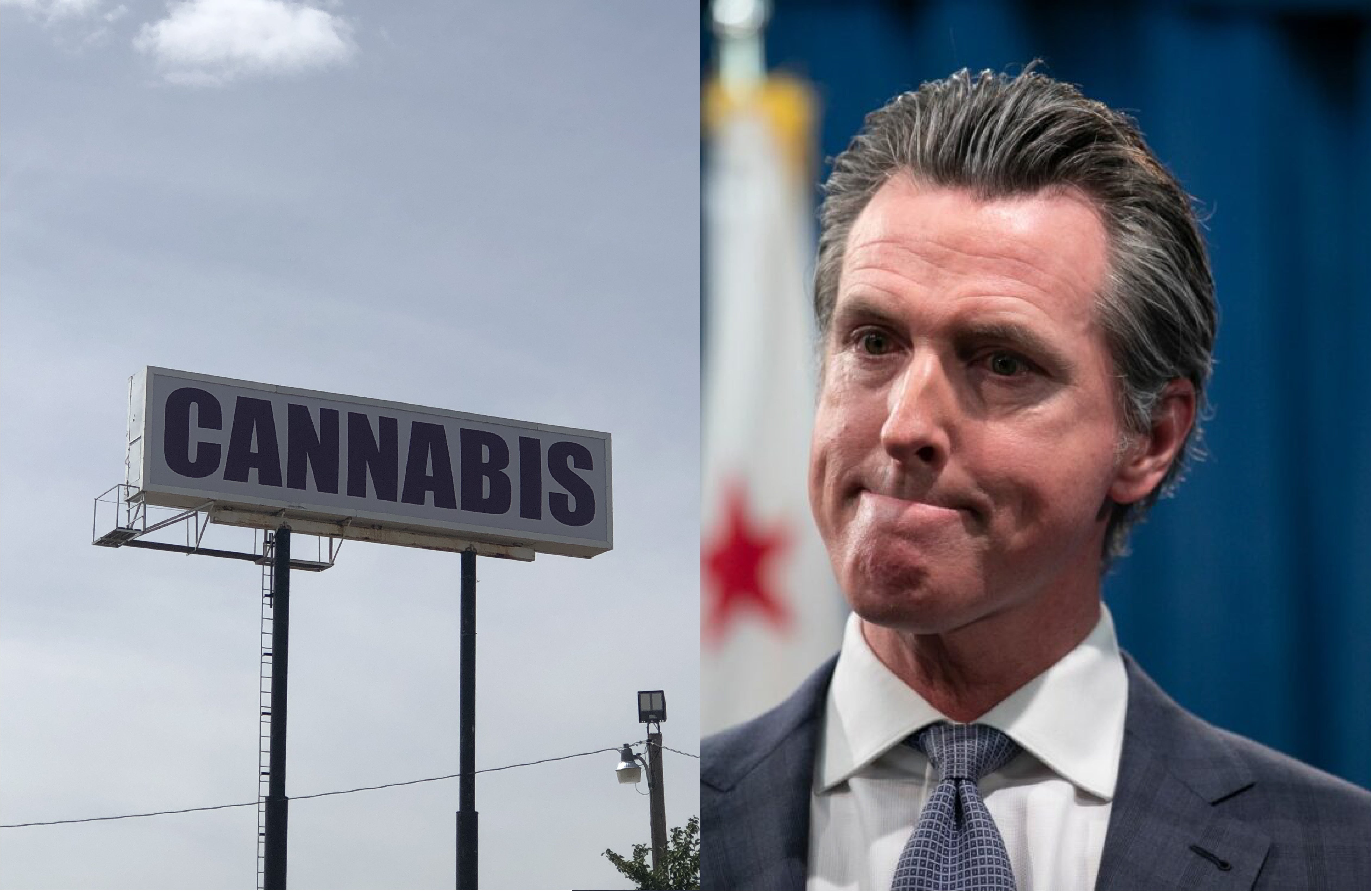 California Governor Vetoes Marijuana Billboard Bill, Cites Proposition 64 Protections - Marijuana Packaging