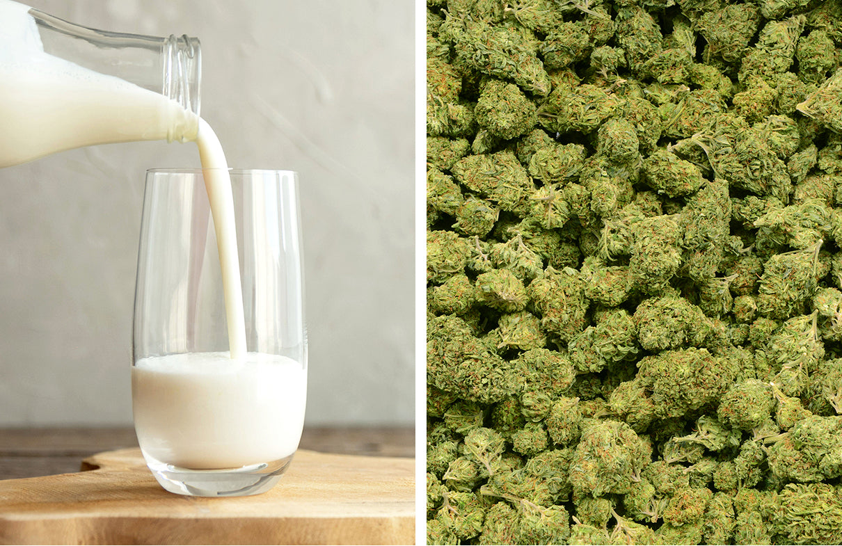 Americans Will Spend Twice As Much On Cannabis Than Milk In 2021