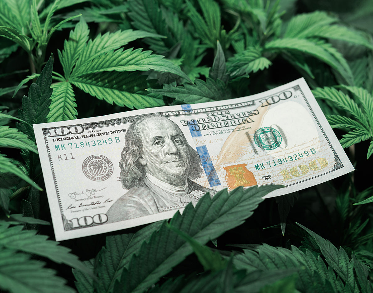 Best Cannabis Stocks Practices for New Investors | Marijuana Packaging