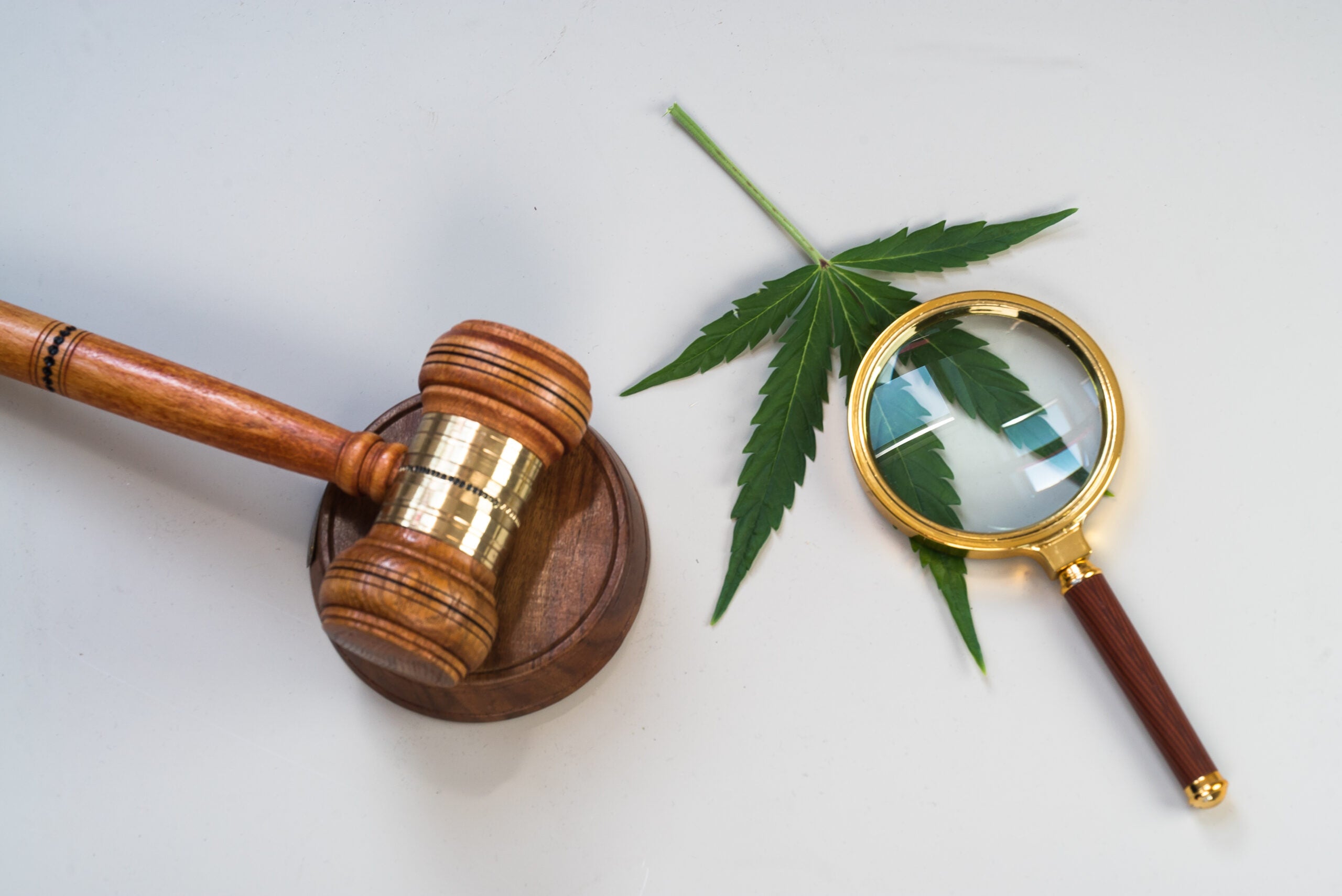 Montana Creates New Drug Court To Review Past Cannabis Convictions